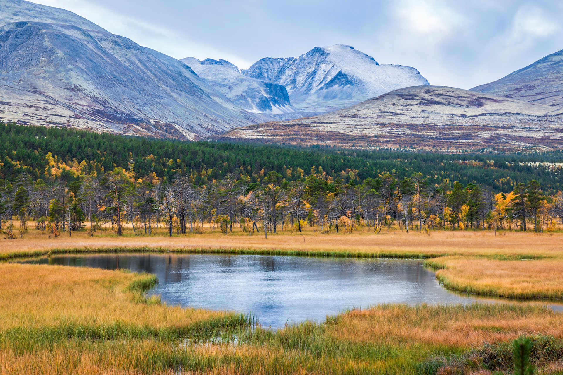 Rondane
