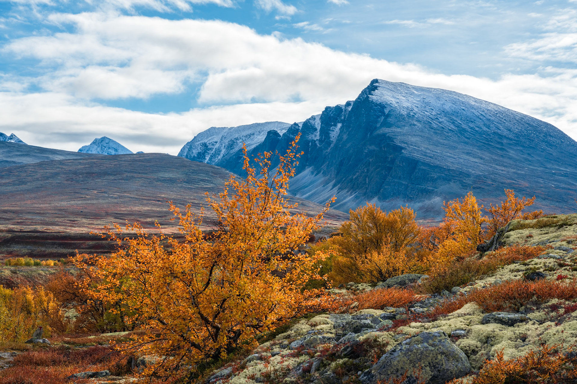 Rondane