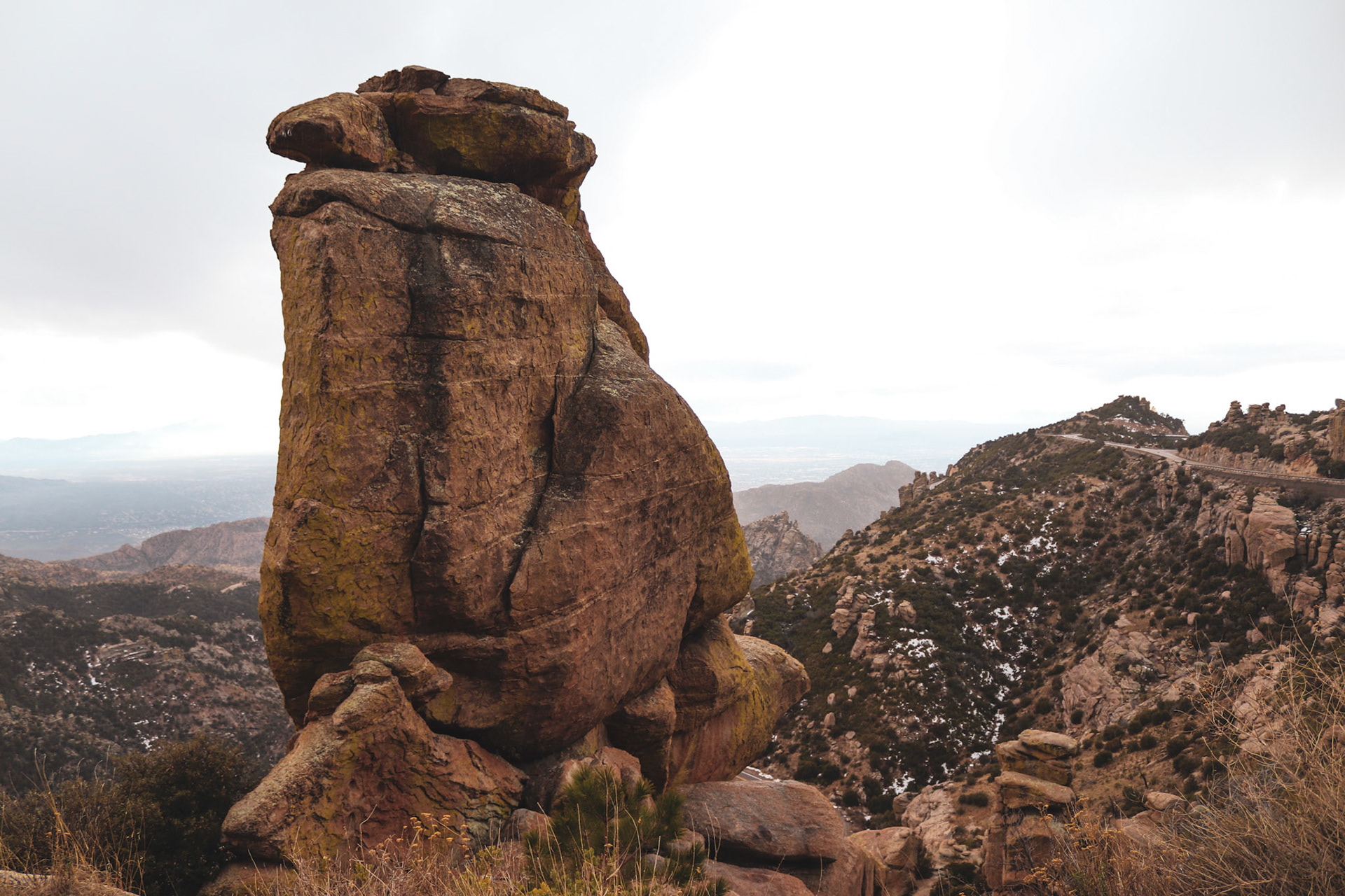 Mt Lemmon