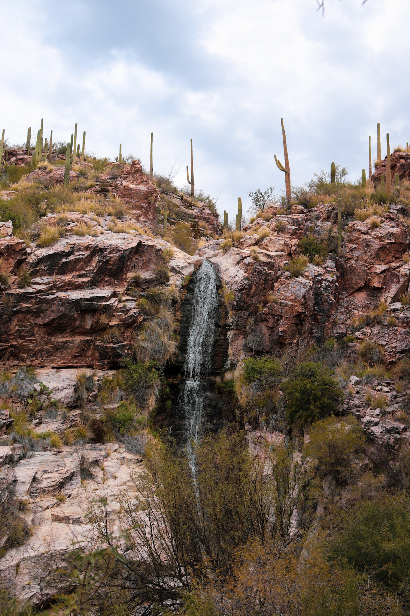 Loews Ventana Canyon Resort