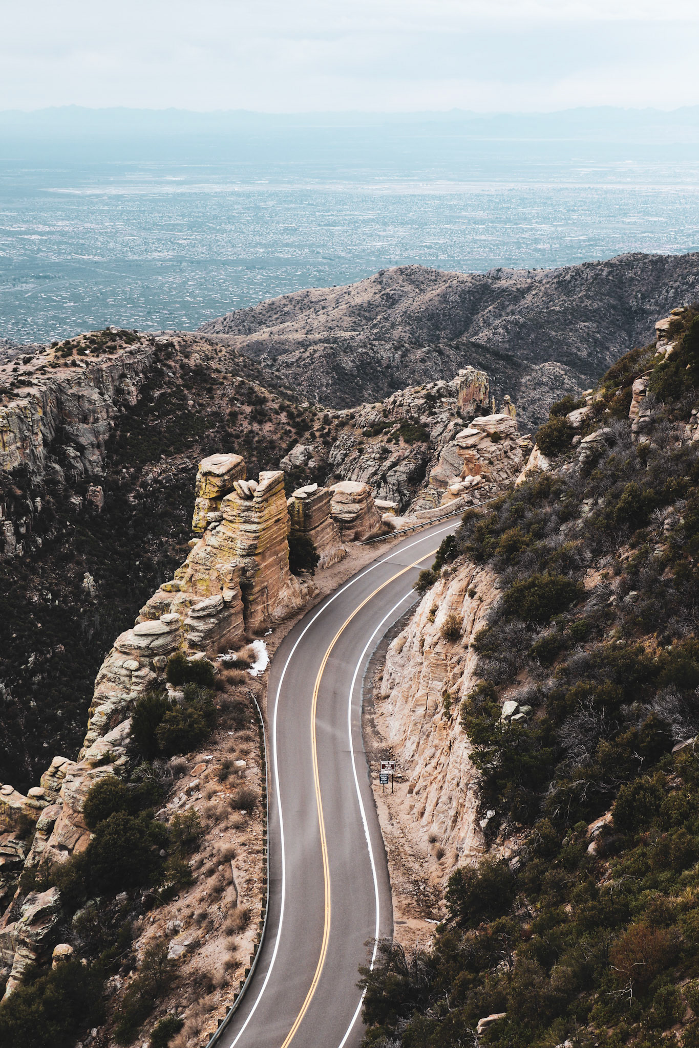 Mt Lemmon