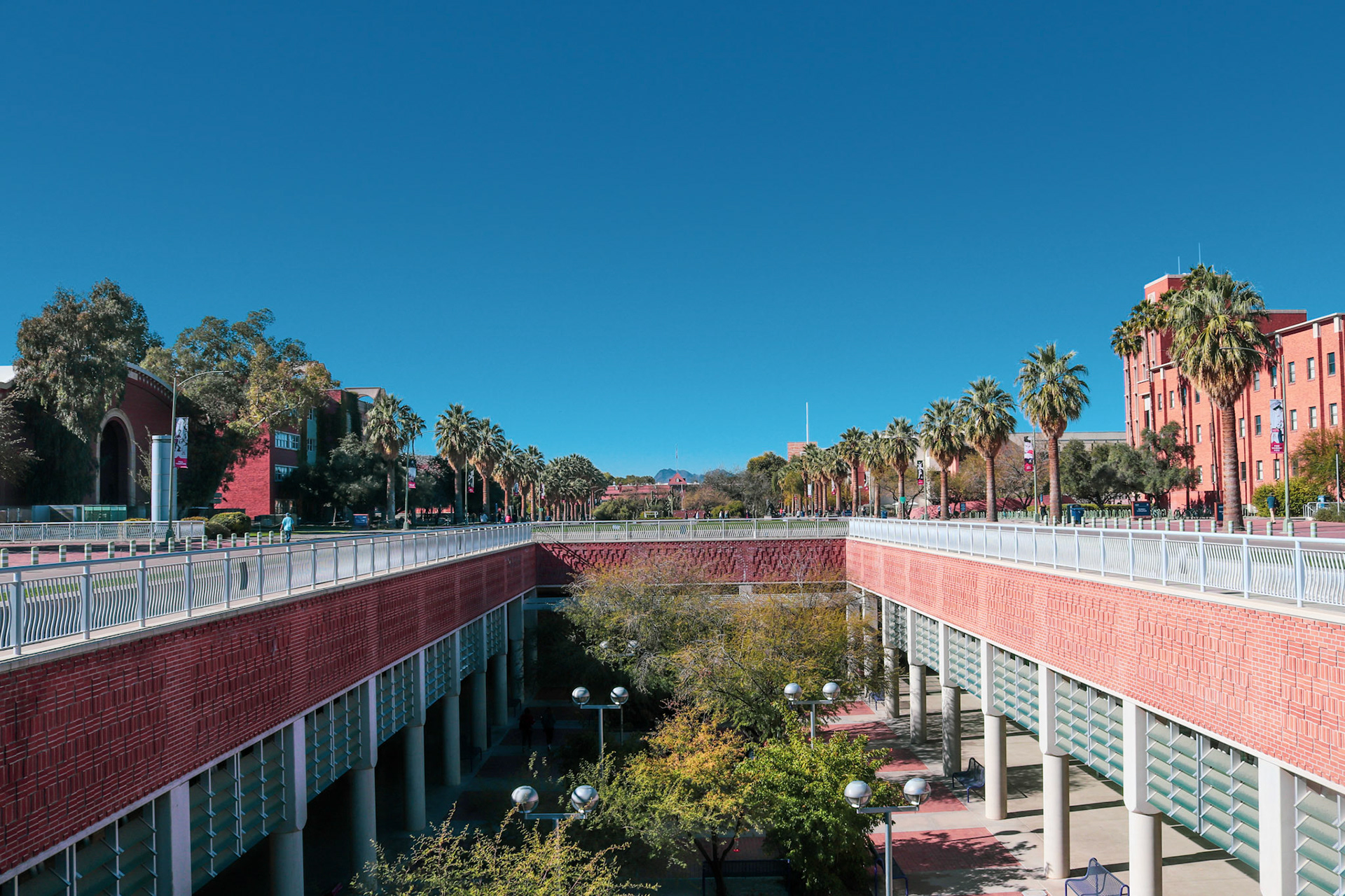 University of Arizona