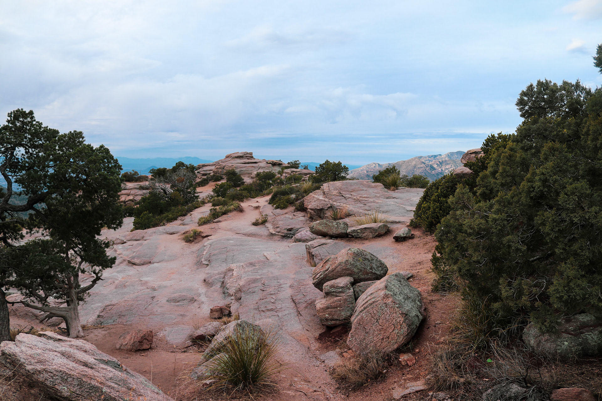 Mt Lemmon