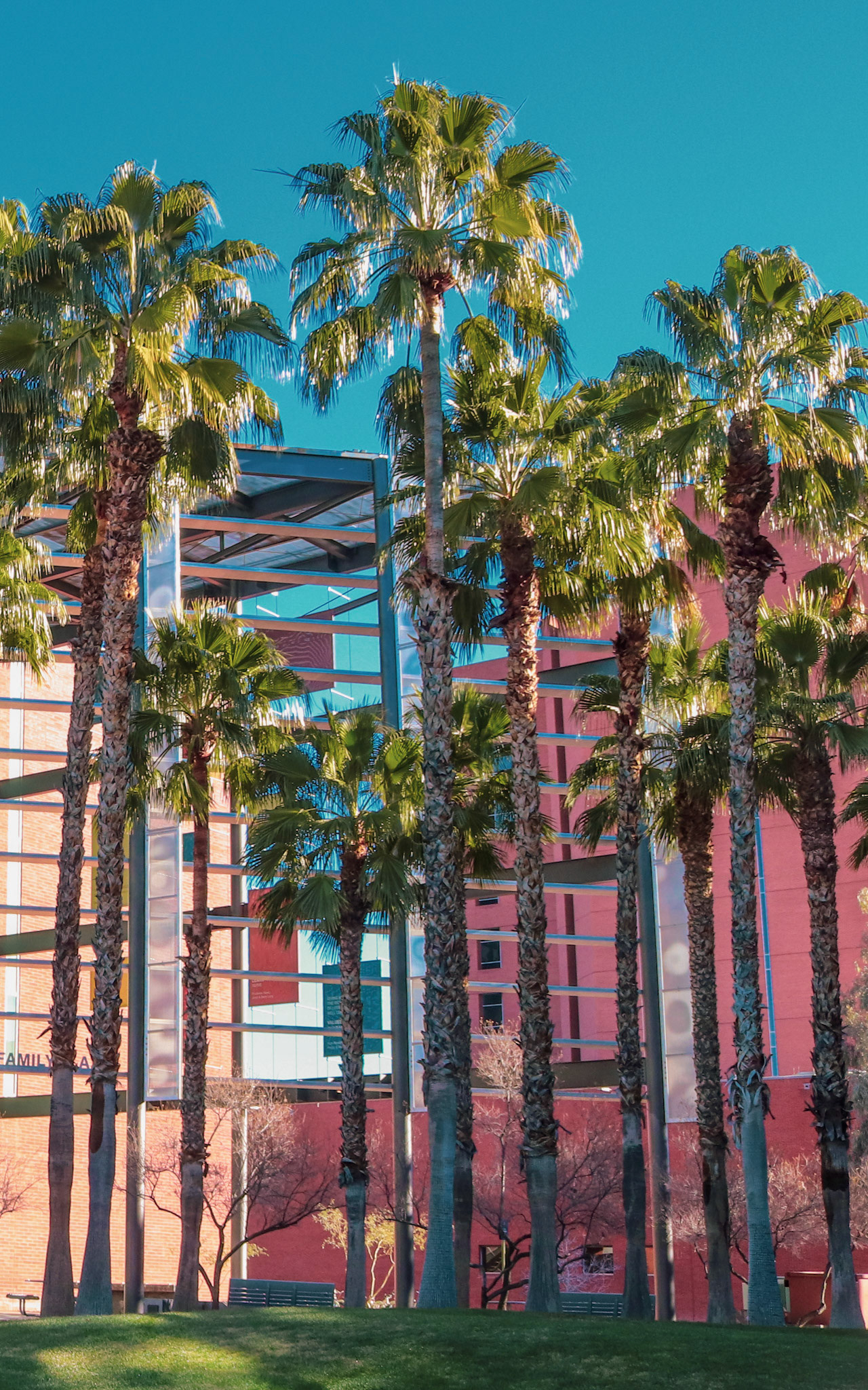University of Arizona