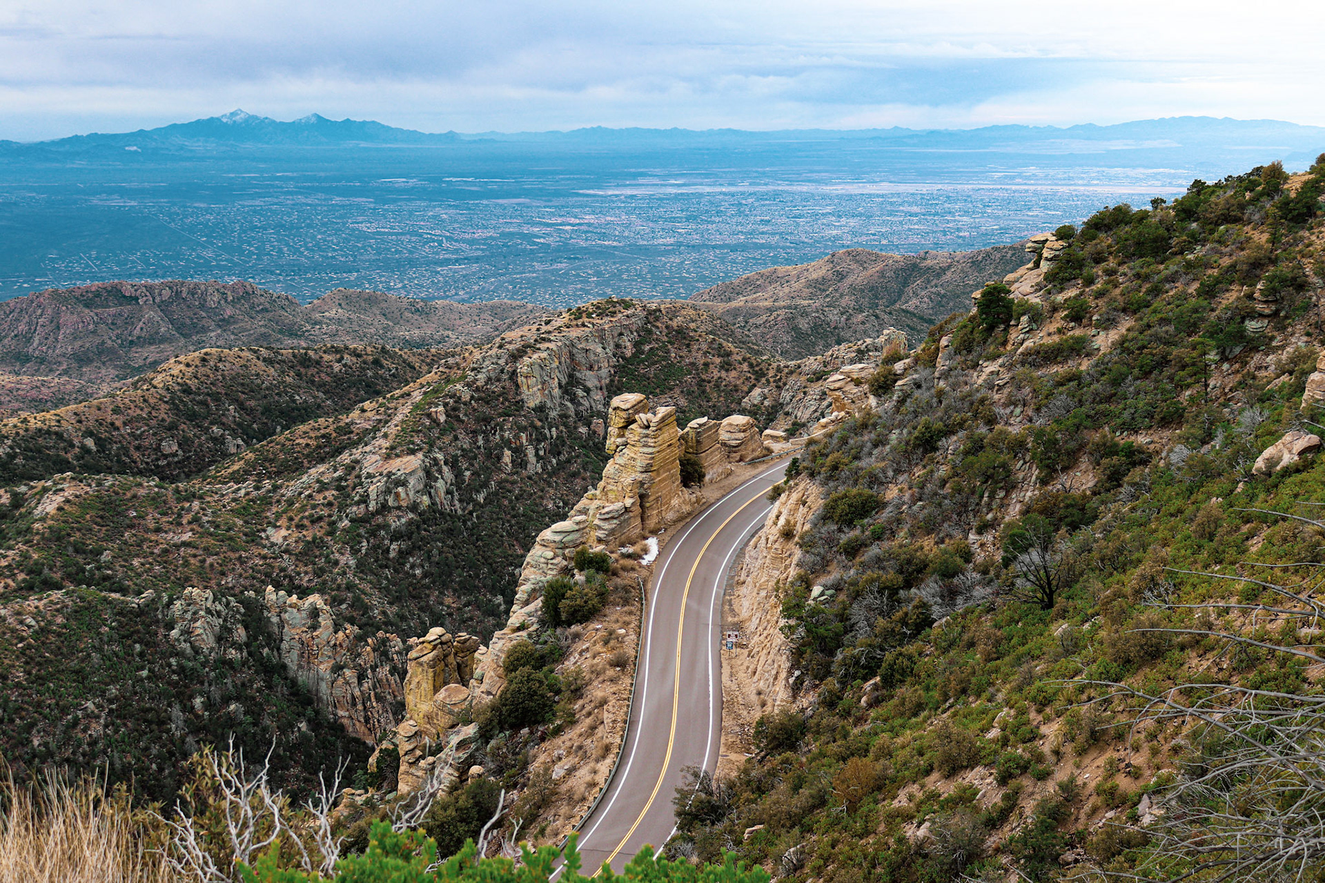 Mt Lemmon