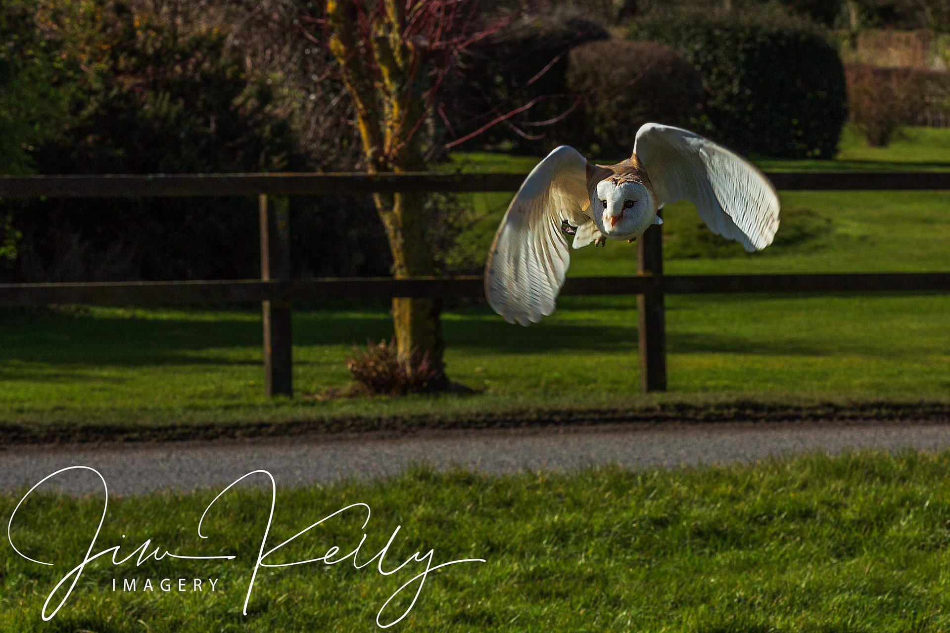In Flight (Ref: DIG05853)