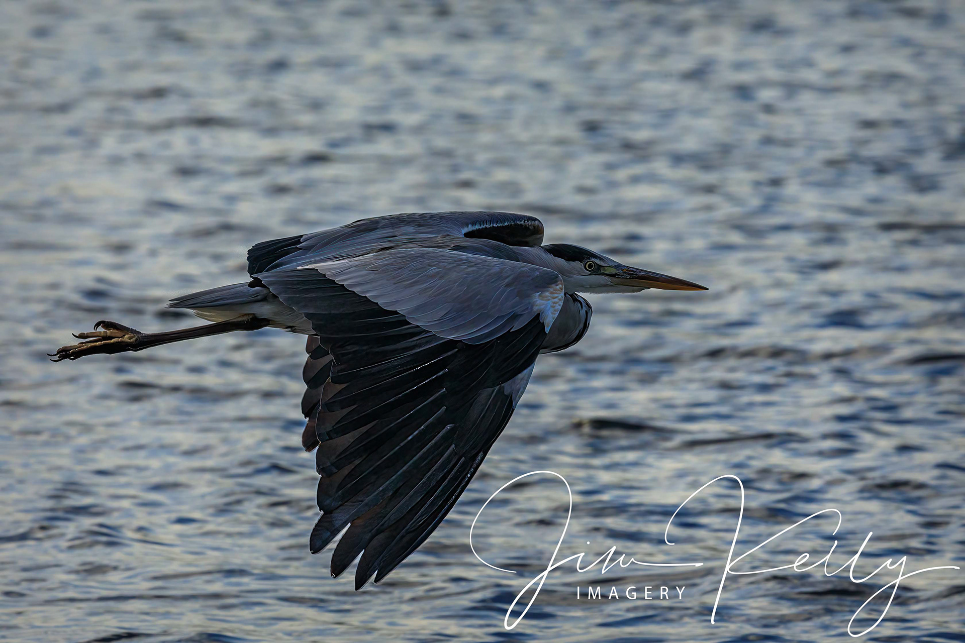 Fly Right on By (Ref: DIG17199)