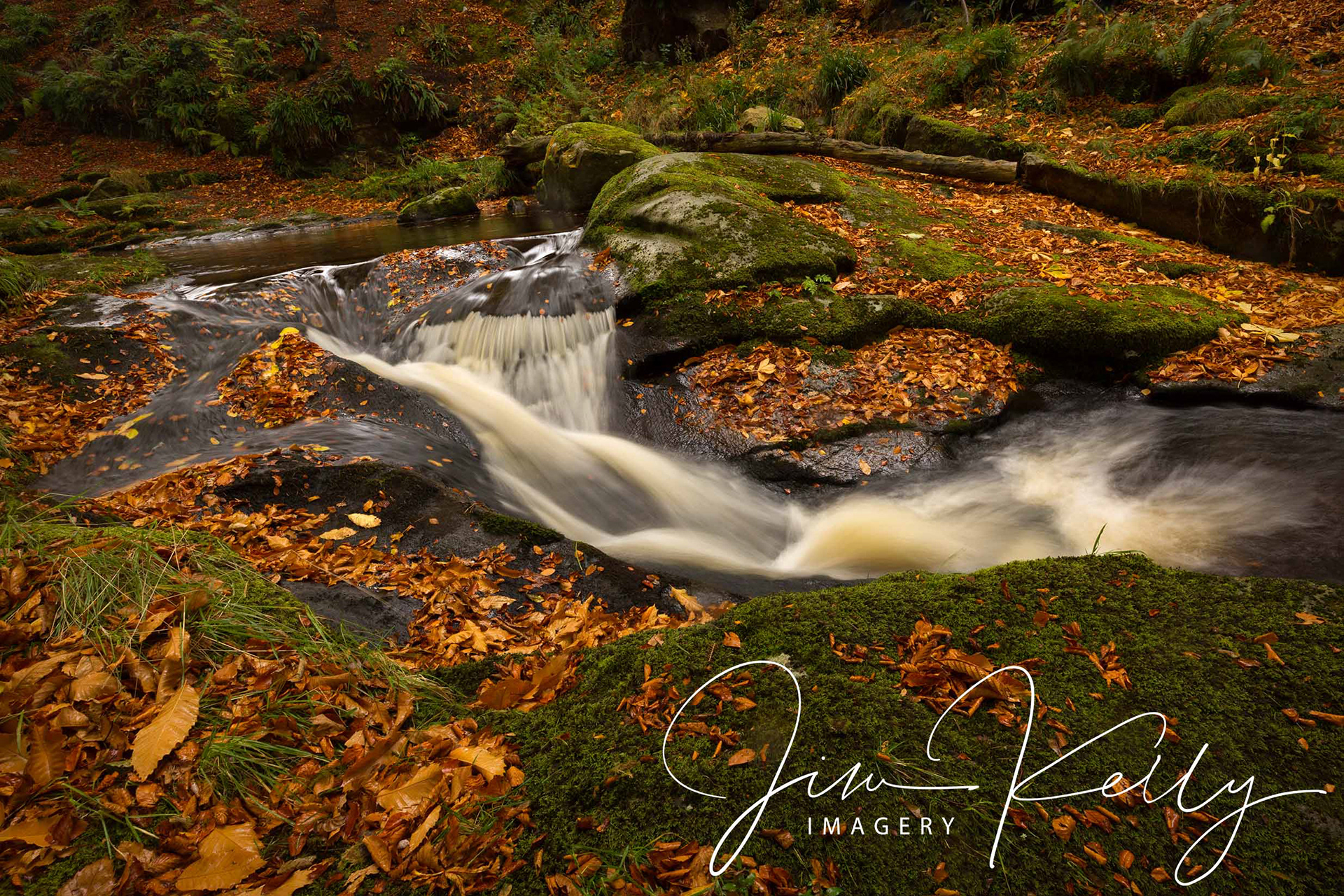 Cloughleagh (Ref: DIG05653)