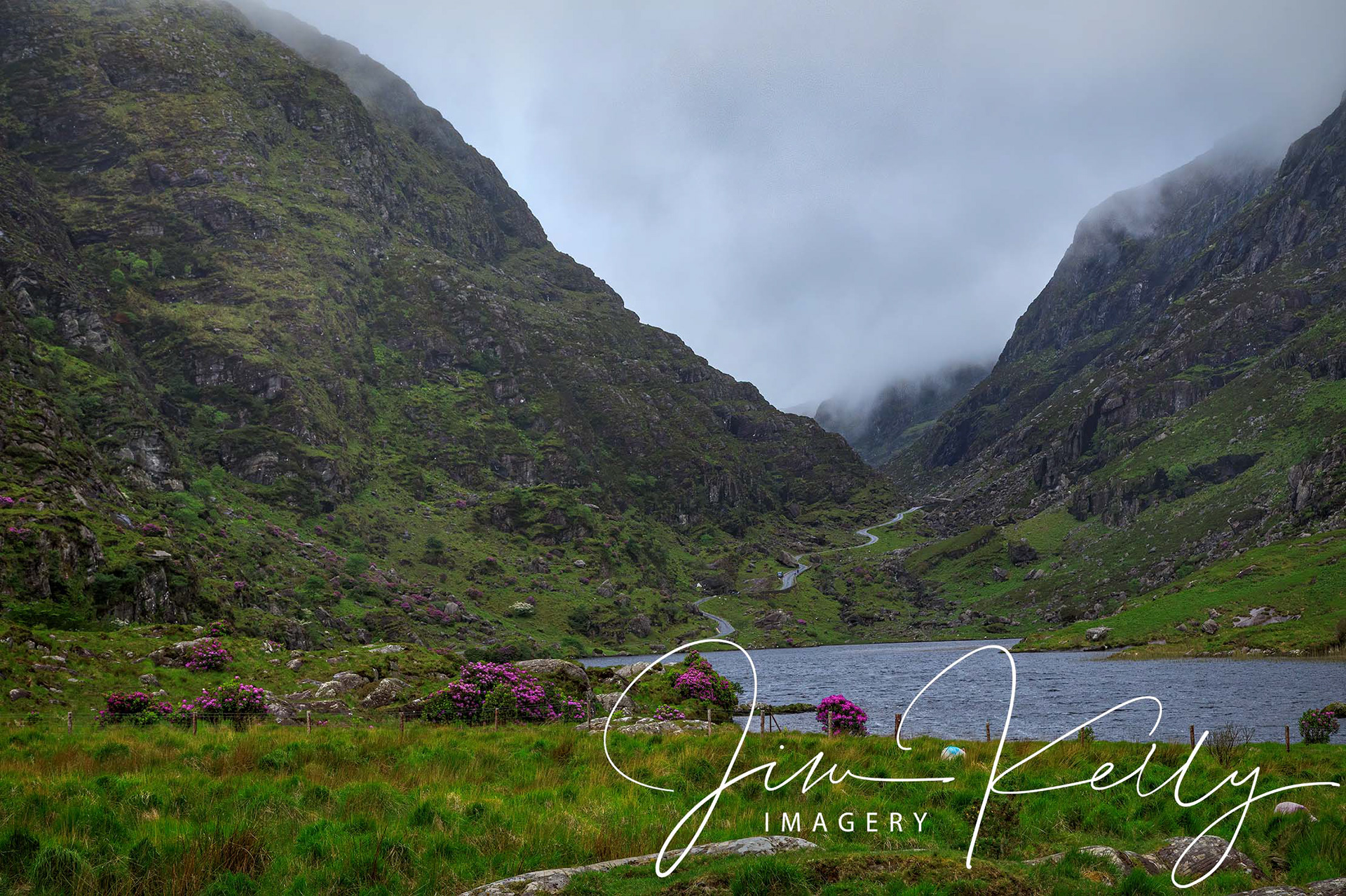 Summer in Gap of Dunloe (Ref: DIG16305)