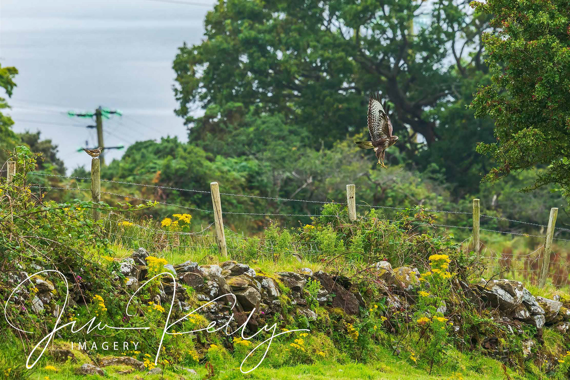 Flying Lessons (Ref: DIG14669)