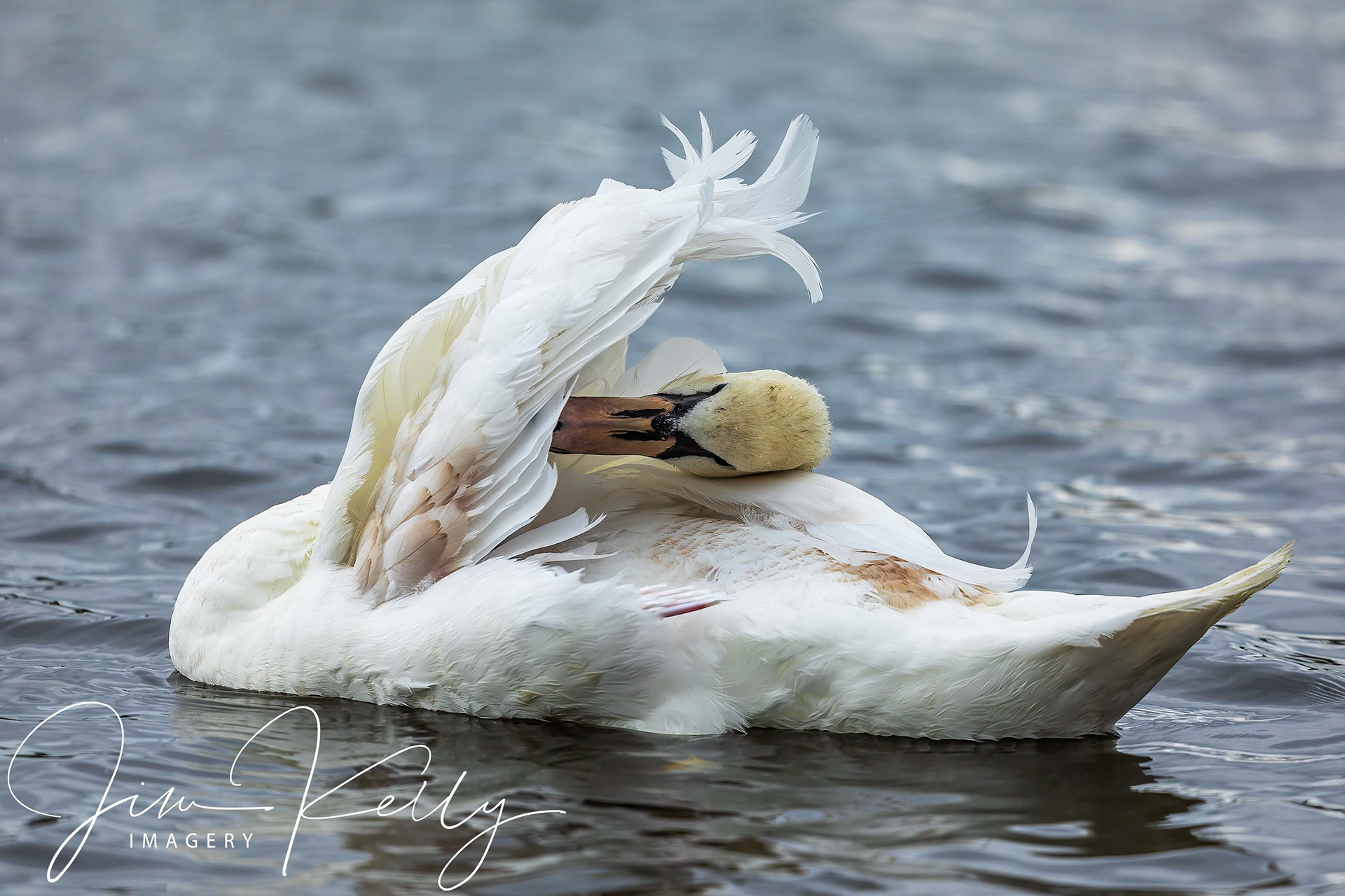 Beauty is Such Hard Work (Ref: DIG14222)