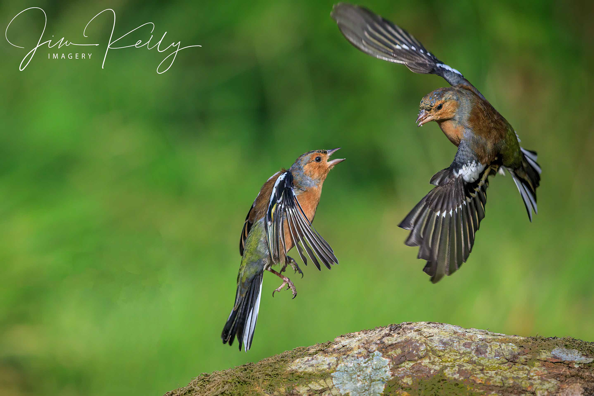 Mid Air Dispute (Ref: DIG15131)