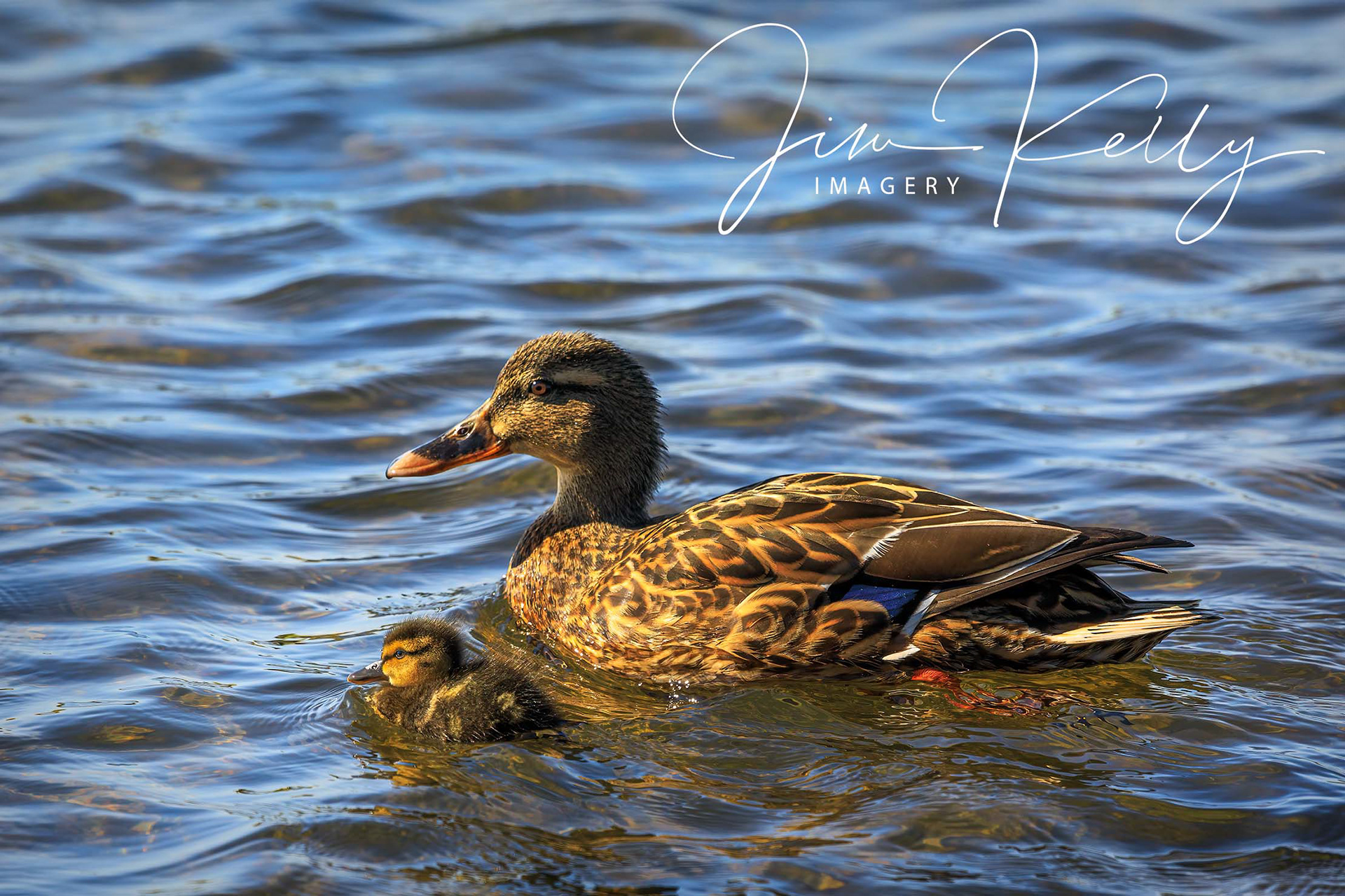 Mother and Baby (Ref: DIG15757)
