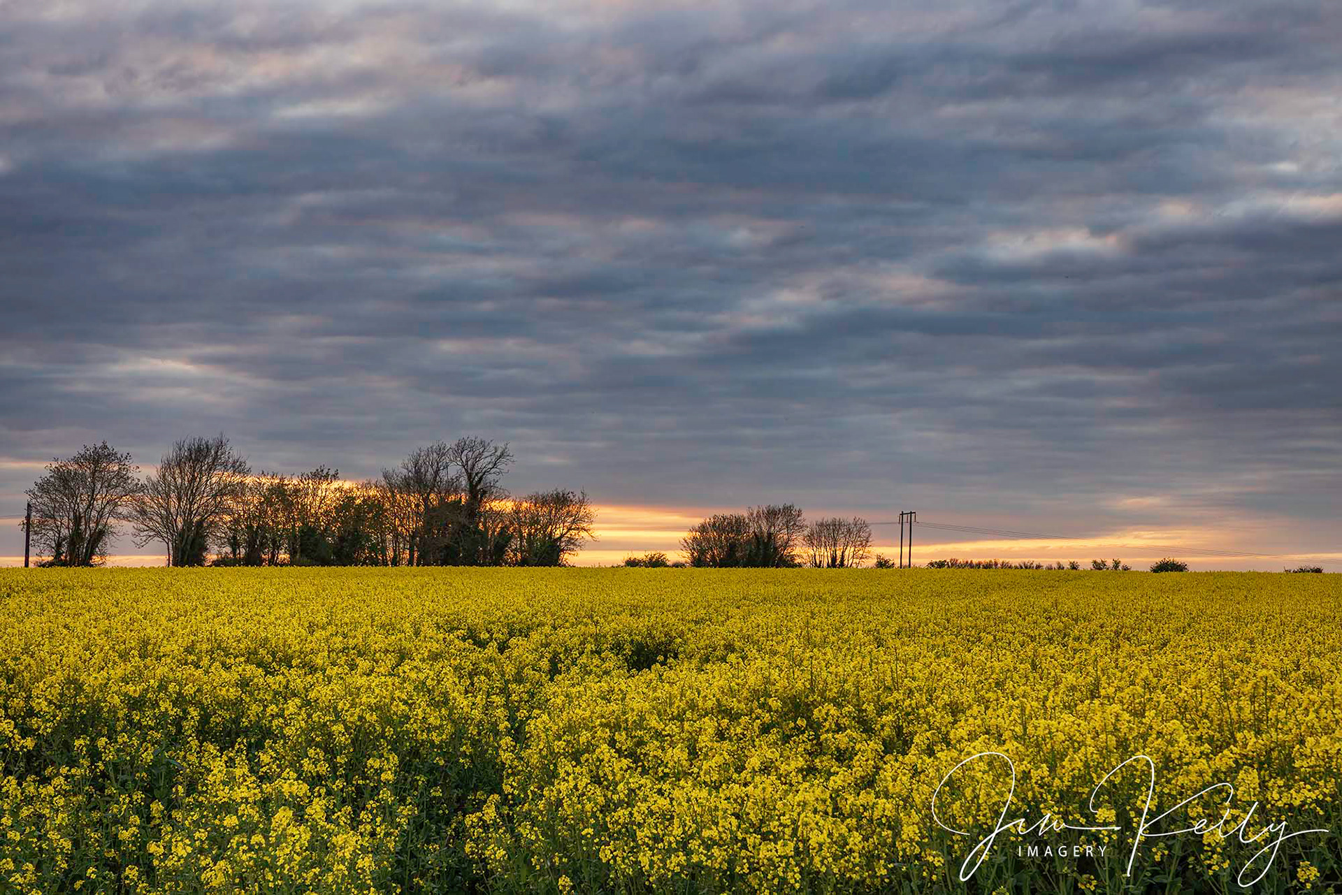 Sunset Over Rape Field (Ref: DIG17726)