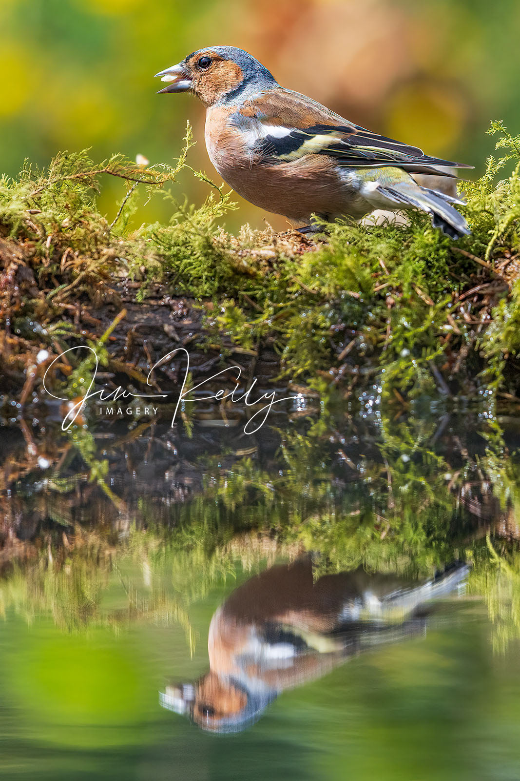 By The Bank (Ref: DIG18547)