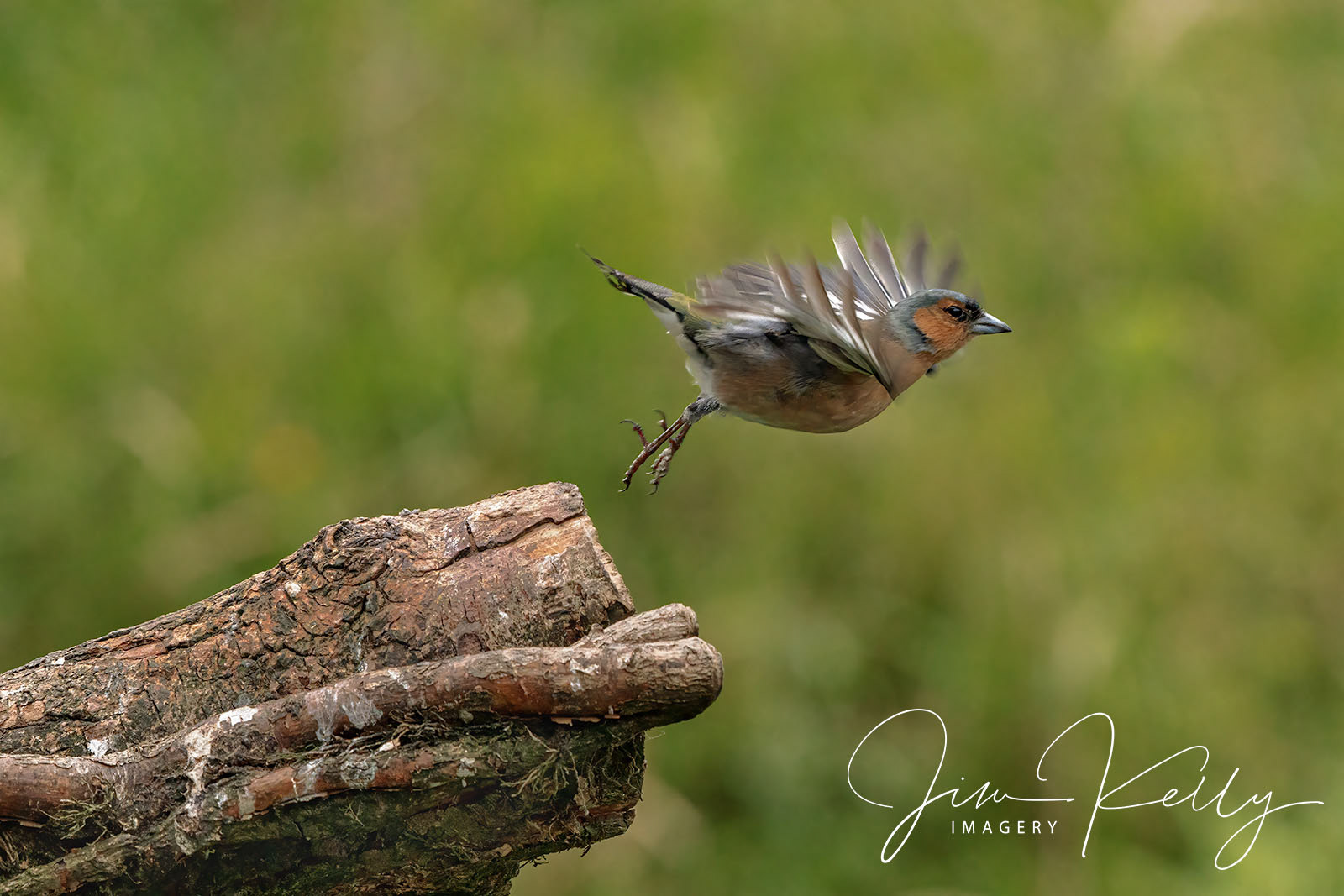 Lift Off (Ref: DIG18924)