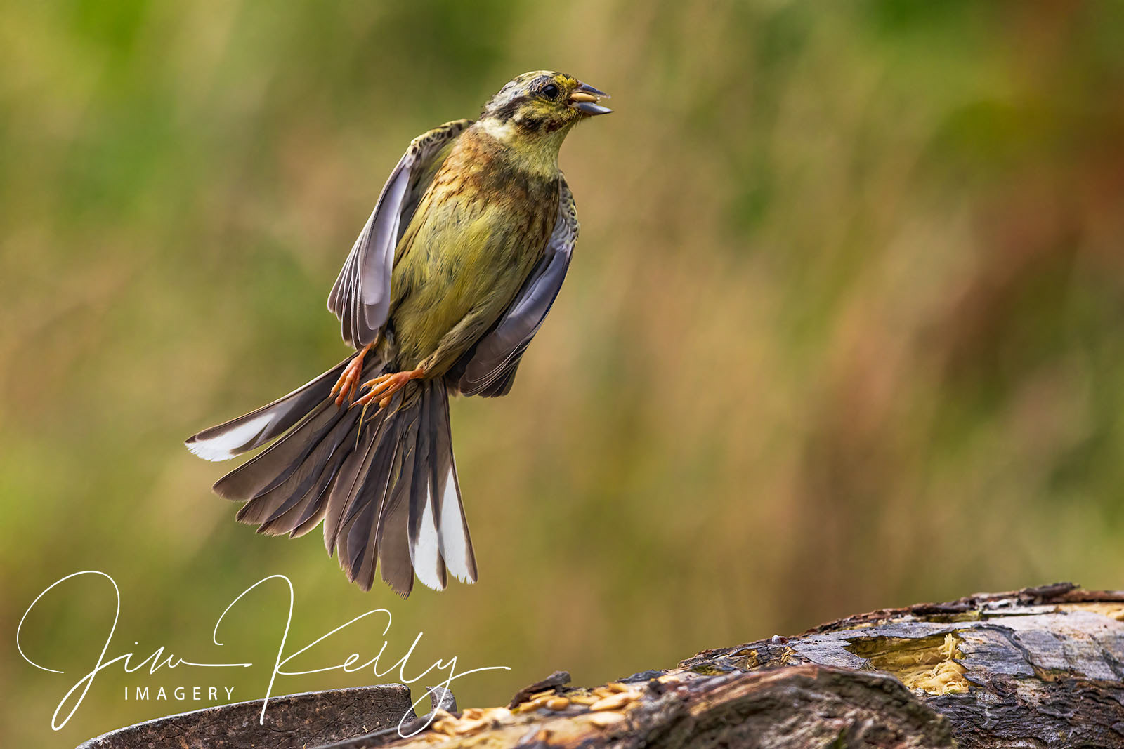 Lift Off (Ref: DIG18544)