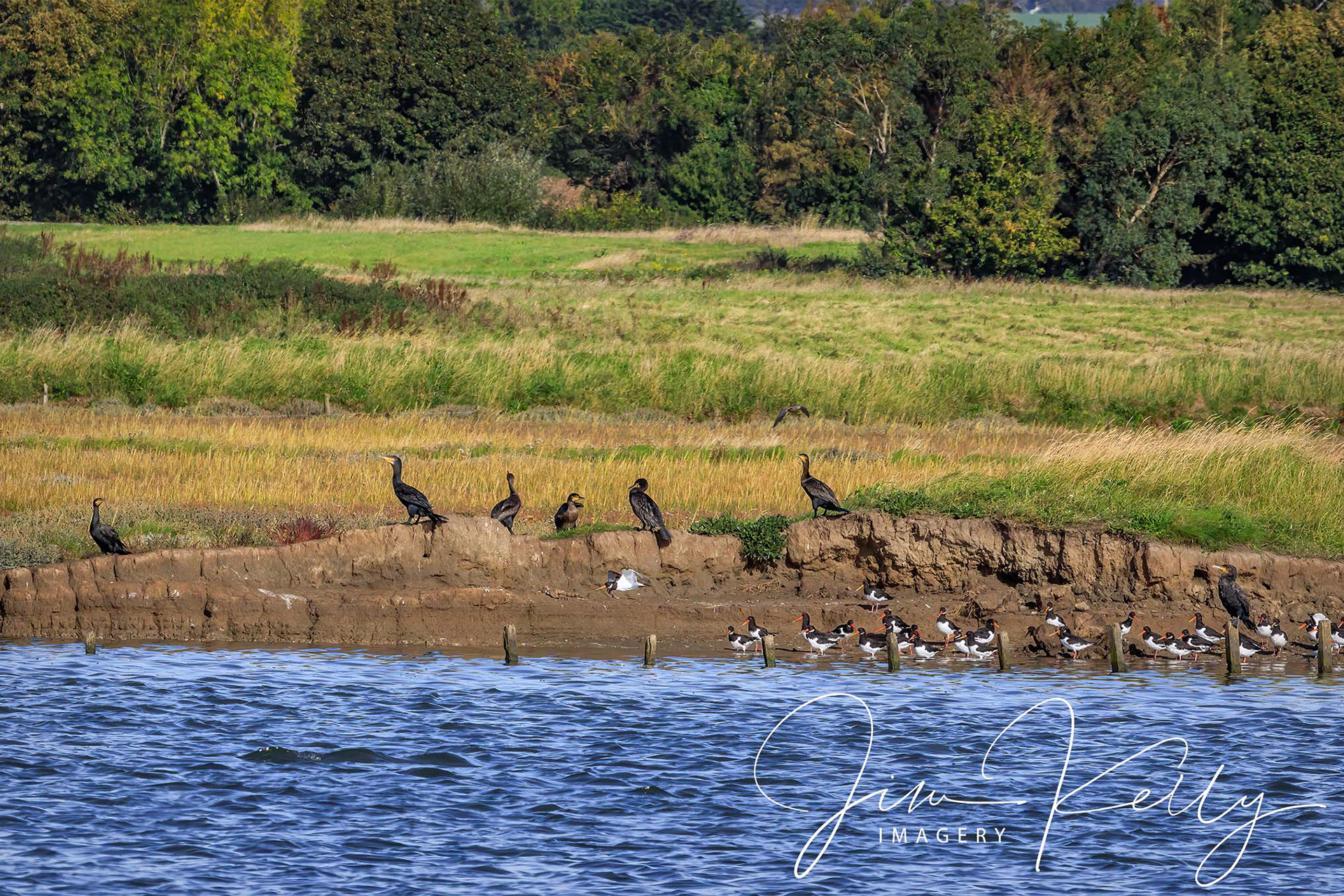 The Meeting (Ref: DIG17245)