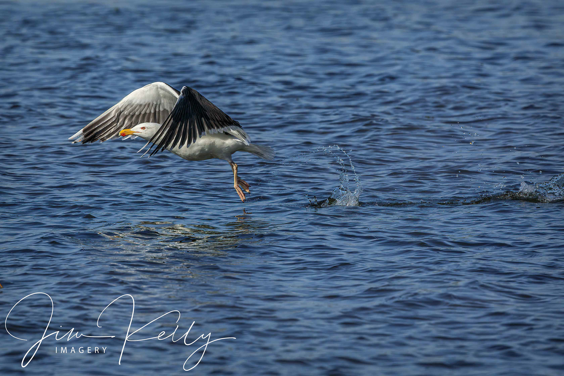 Lift Off (Ref: DIG16121)