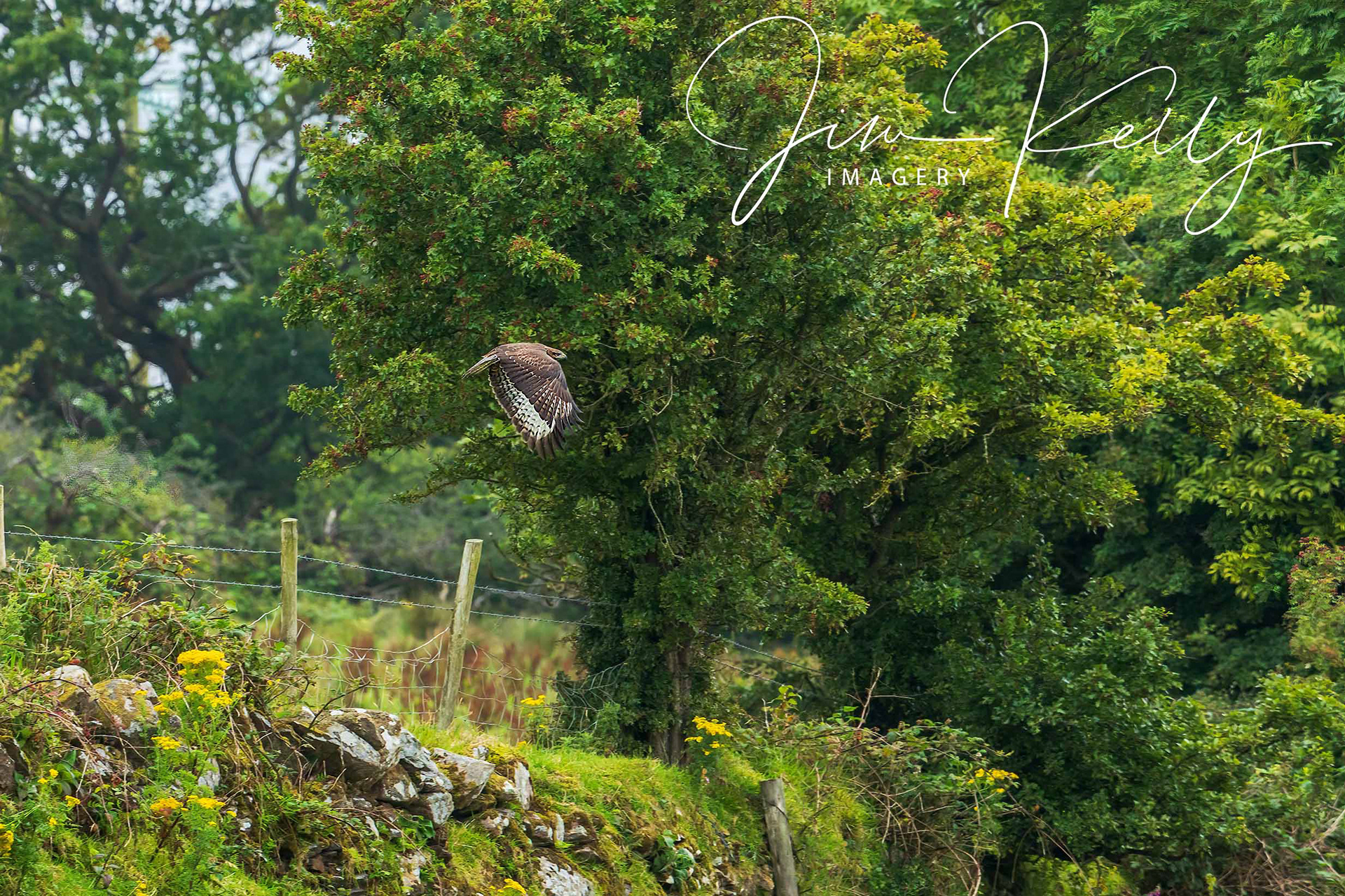 Away I Go (Ref: DIG14670)