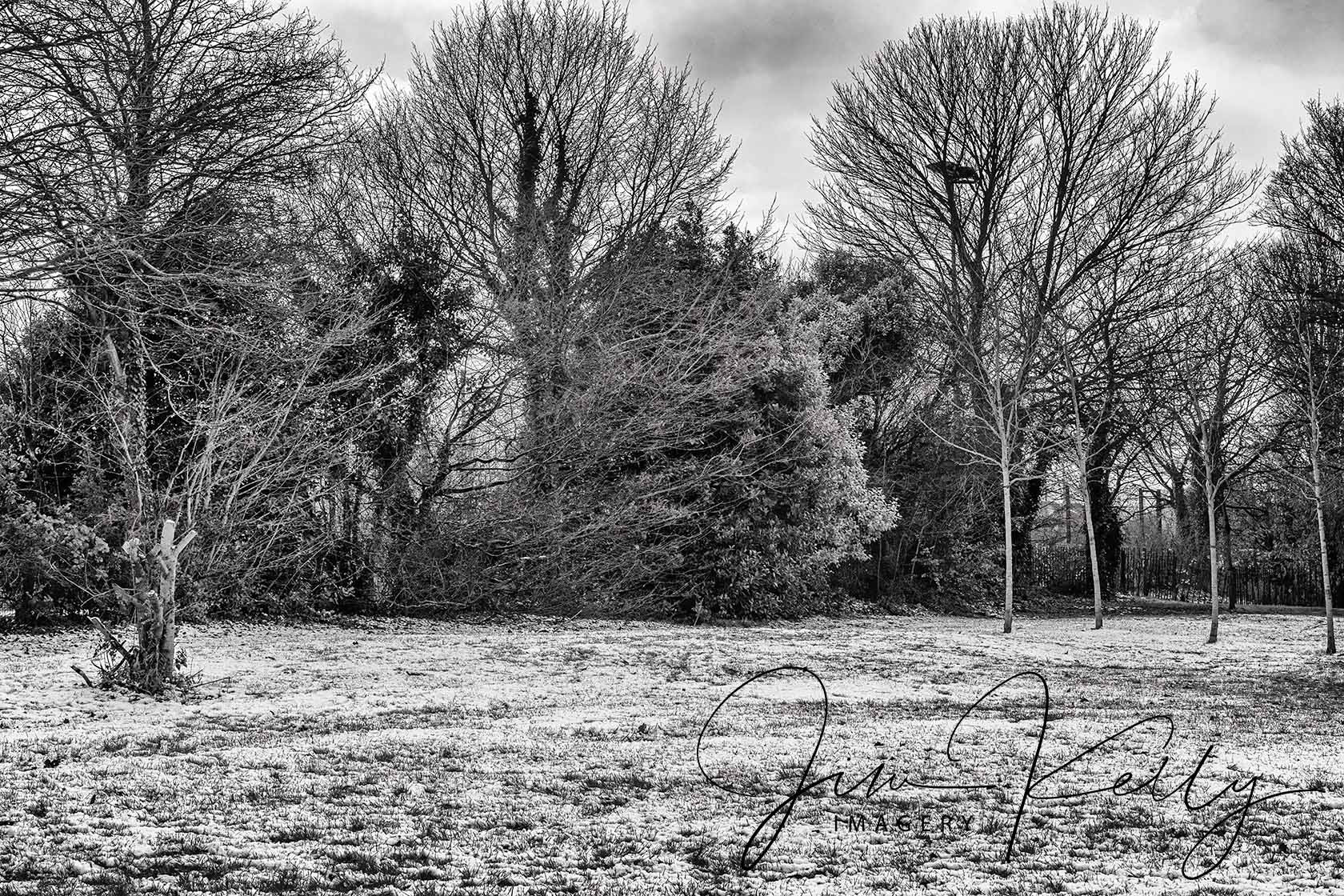 Winter (Ref: DIG15499)