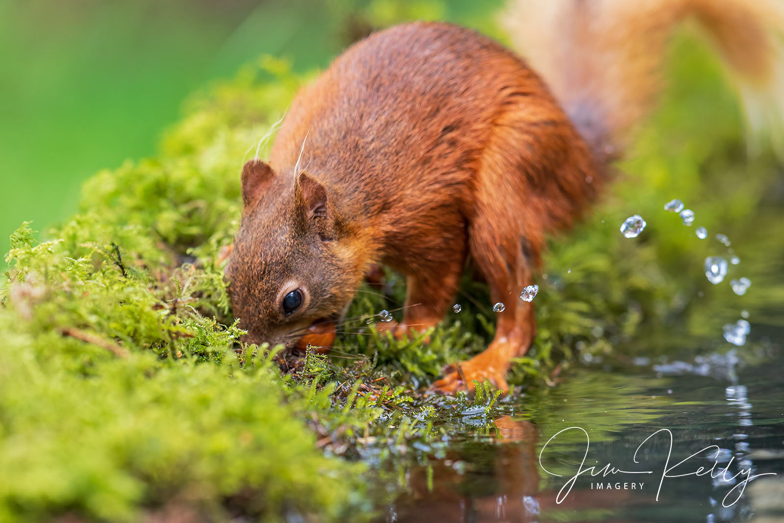 A Little Digging (Ref: DIG18498)