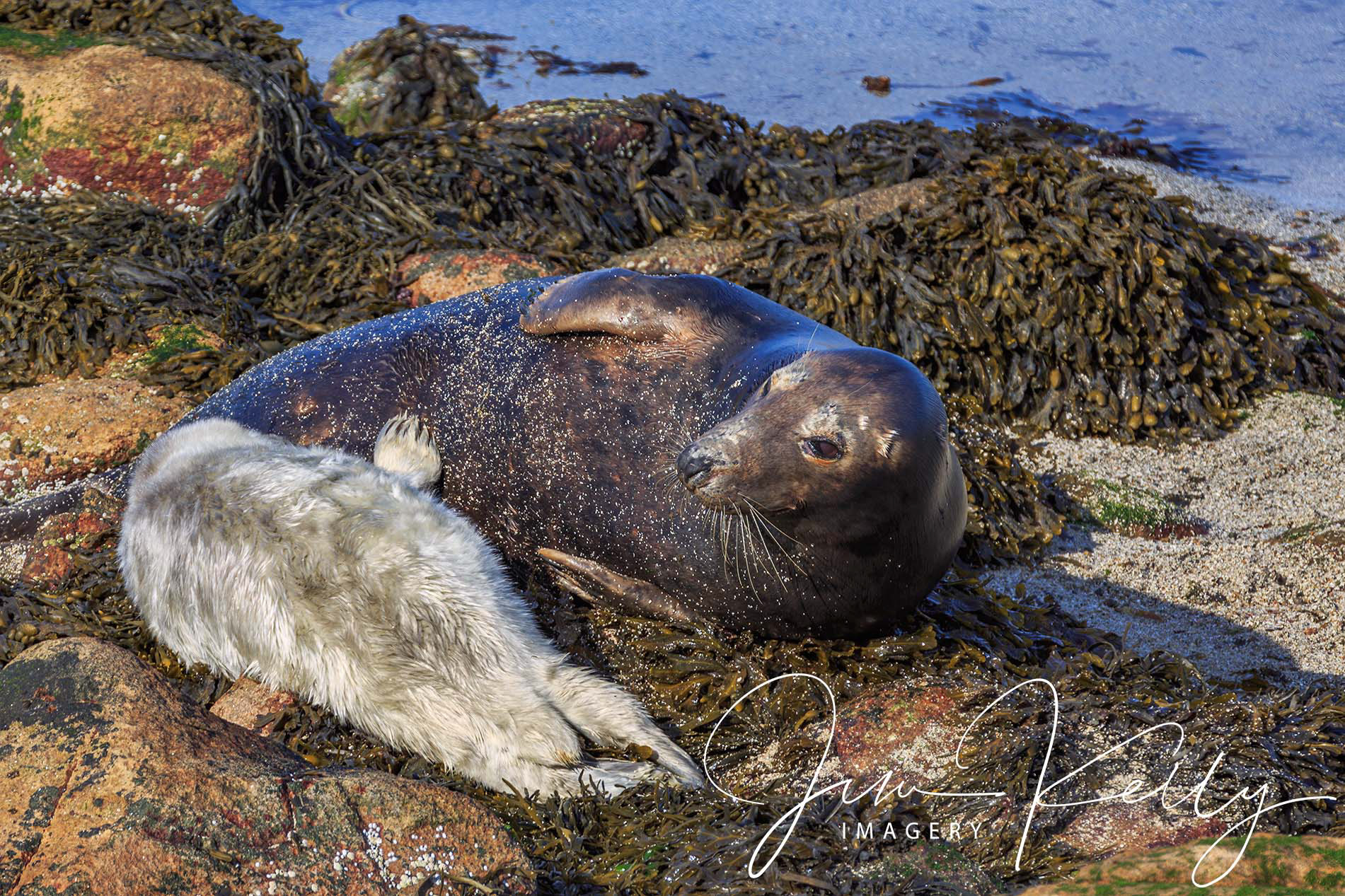 Family Time )Ref: DIG05533)