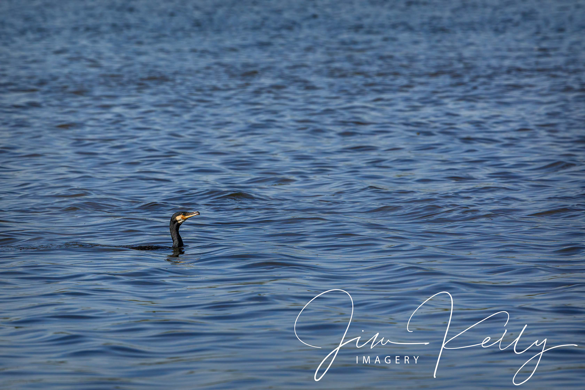 Relaxing on the Water (Ref: DIG16091)