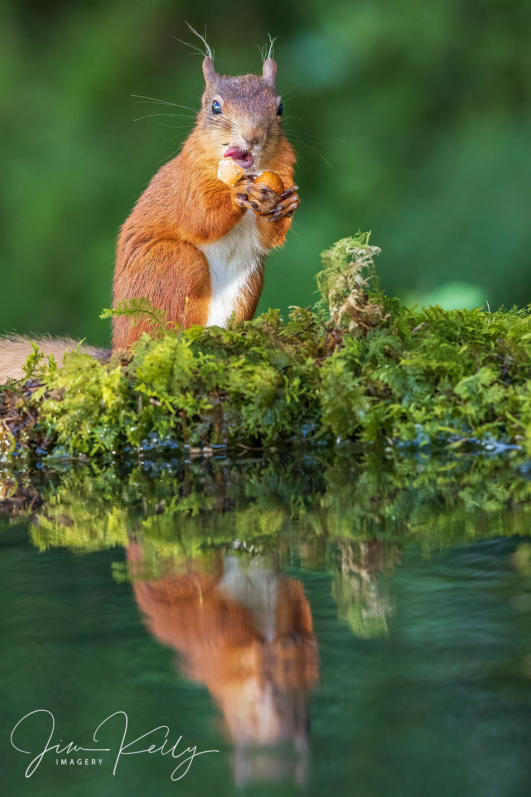 Lip Lickin' Good (Ref: DIG18482)