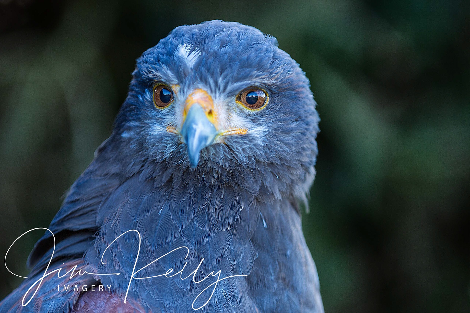 I See You (Ref: DIG05788)