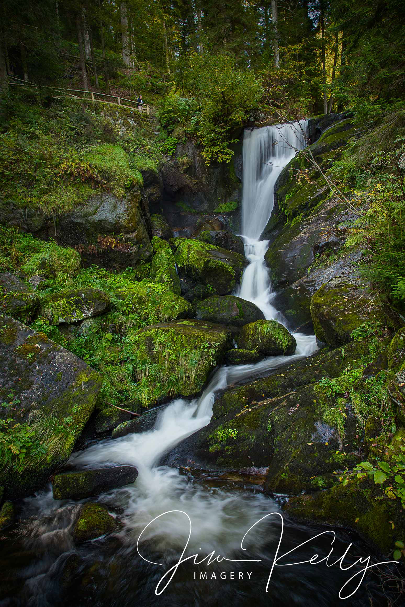 Triberg Waterfall, Schwarzwald (Ref: DIG05150)