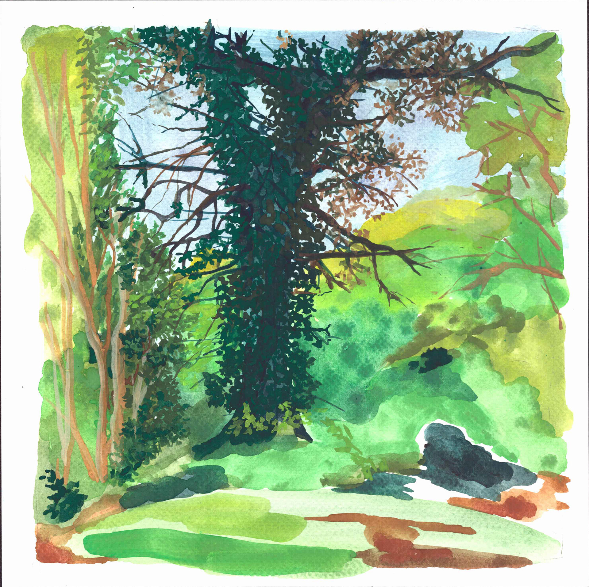 Arboretum de Grenoble 30 x 30 cm