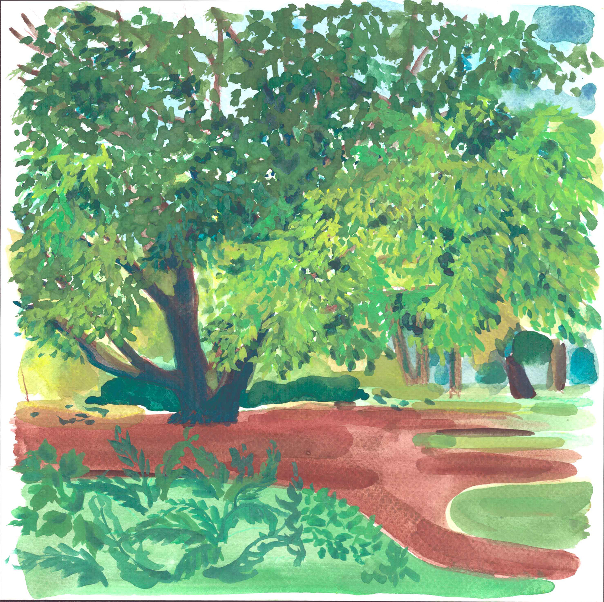 Arboretum de Grenoble 30 x 30 cm
