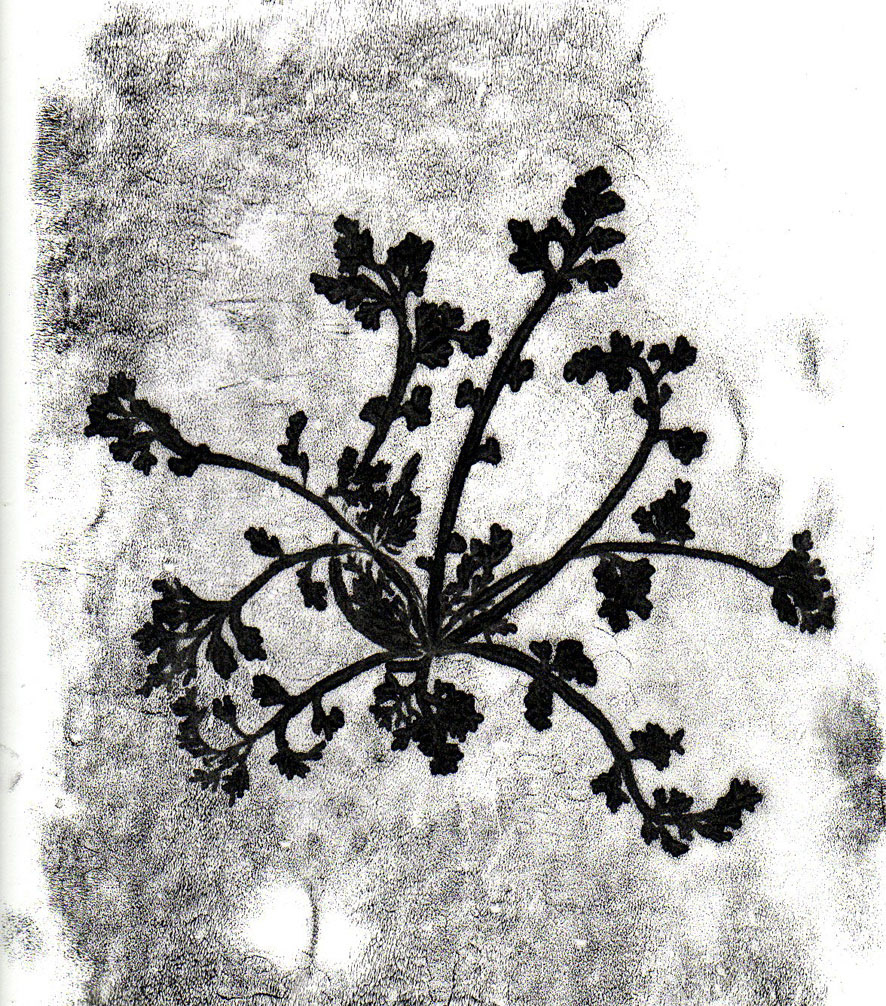 Souvenir