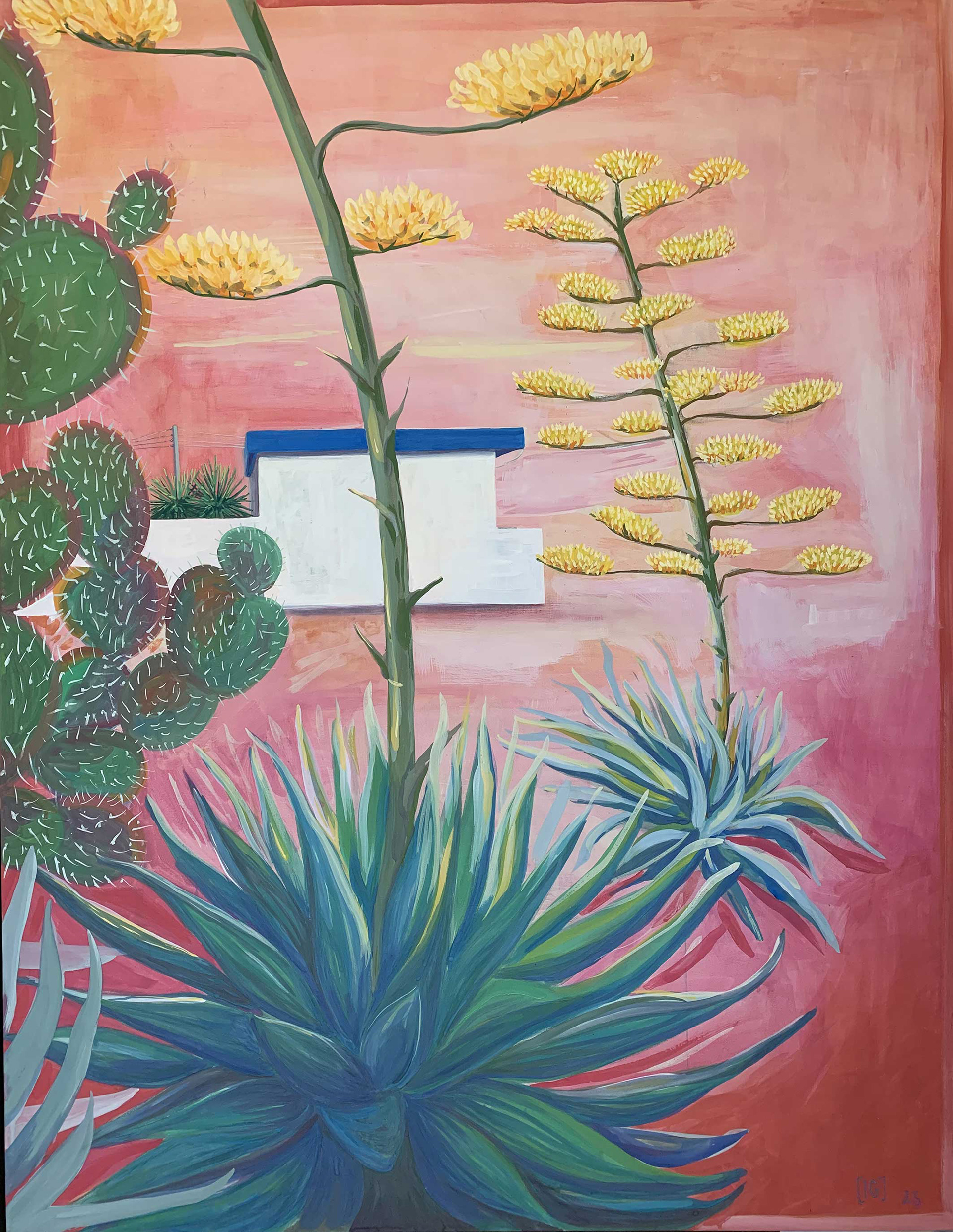 l'entrée de la piscine flotte dans l'air chaud et rose