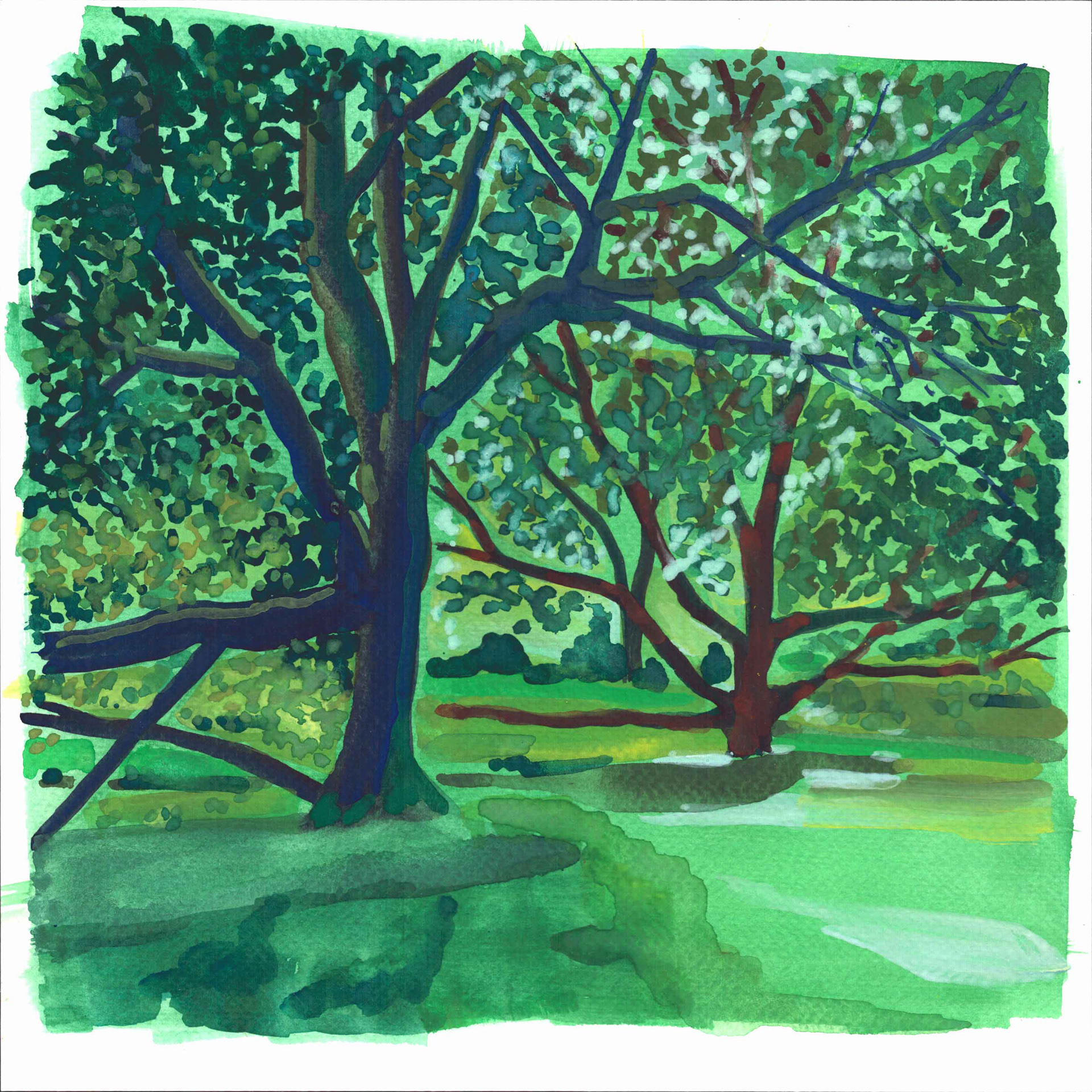 Arboretum de Grenoble 30 x 30 cm