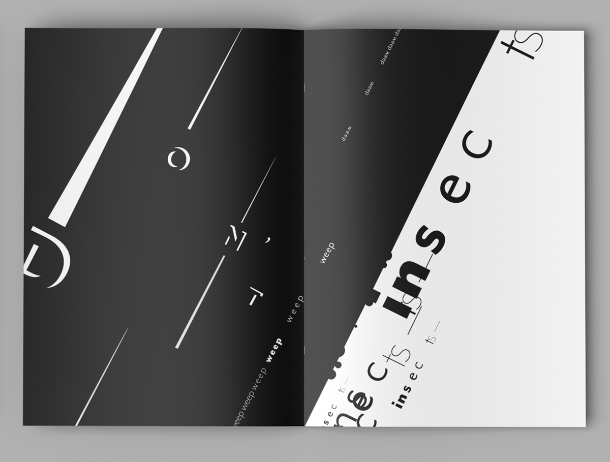 pages 2-3