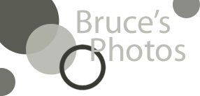 Bruce's Photos