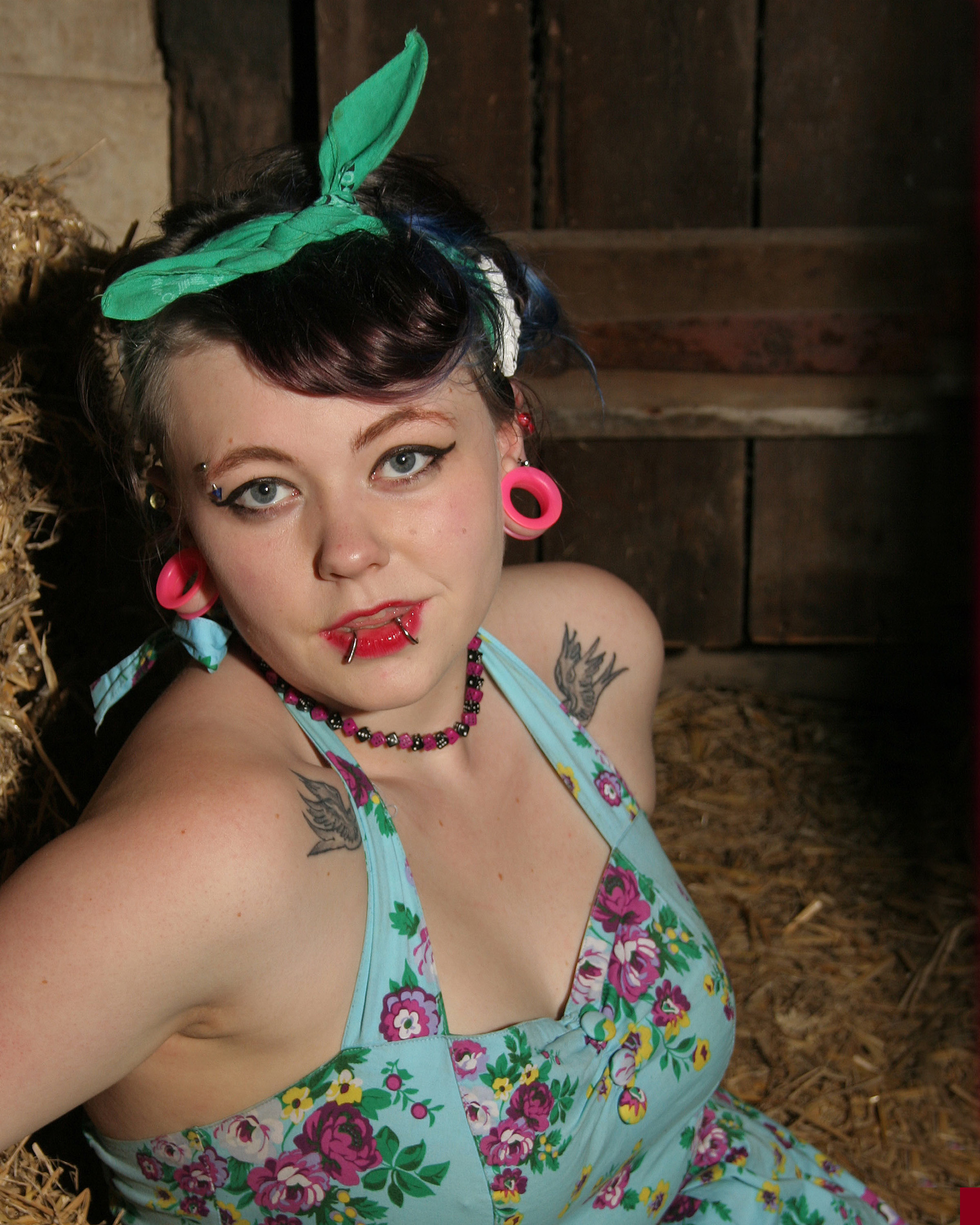 Katt - Studio