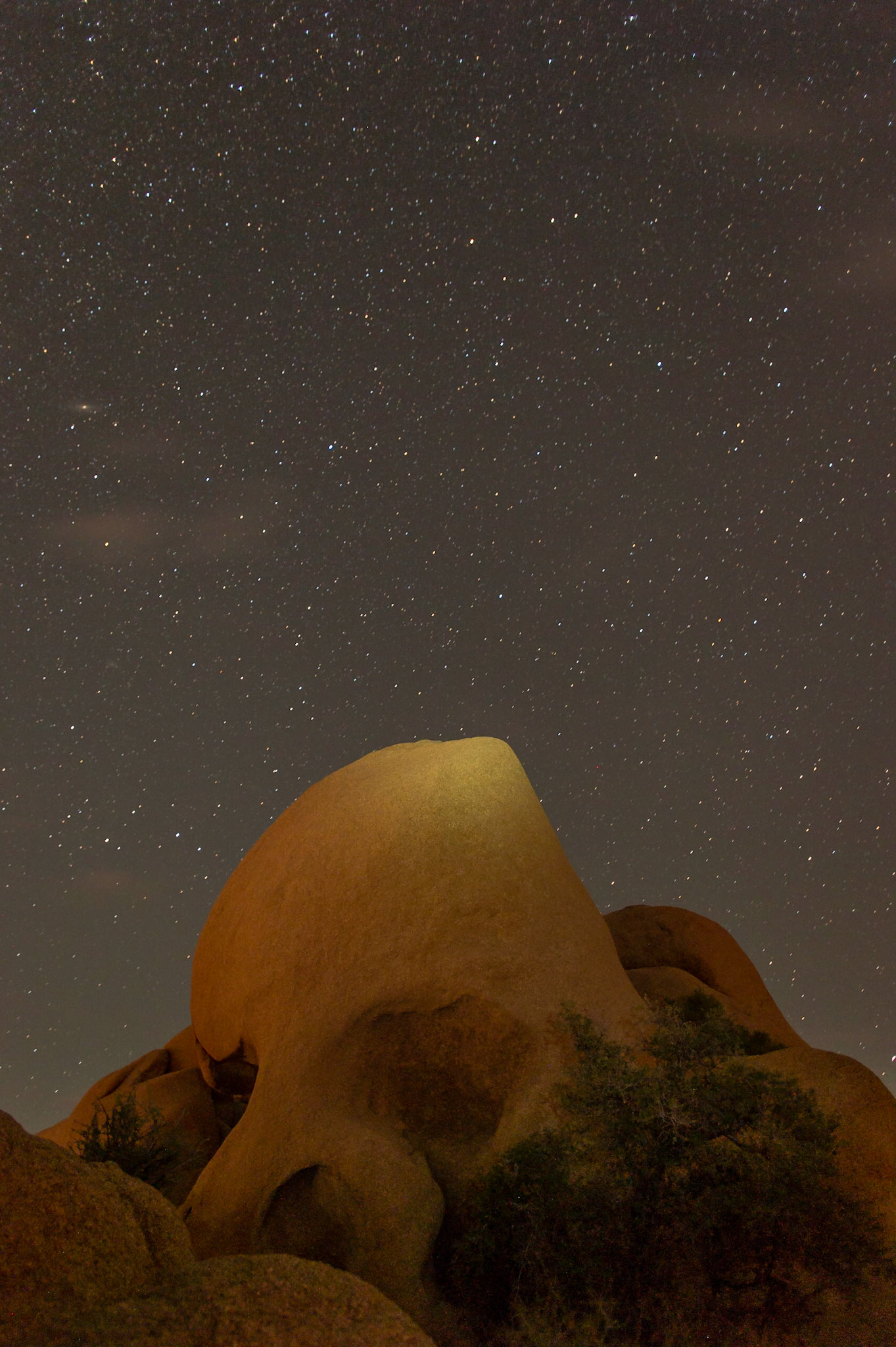 Joshua Tree - 2015