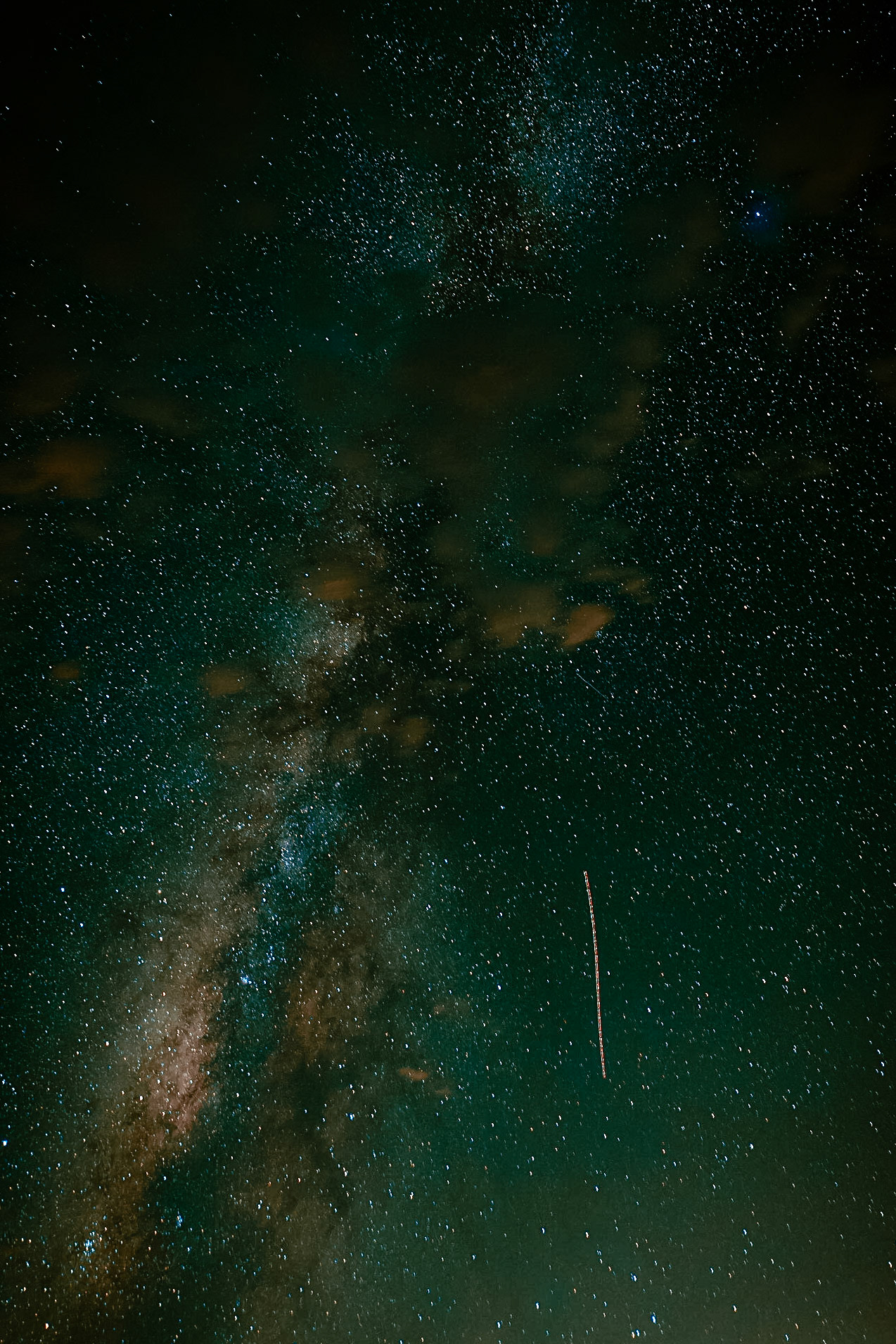 Joshua Tree - August 2023
