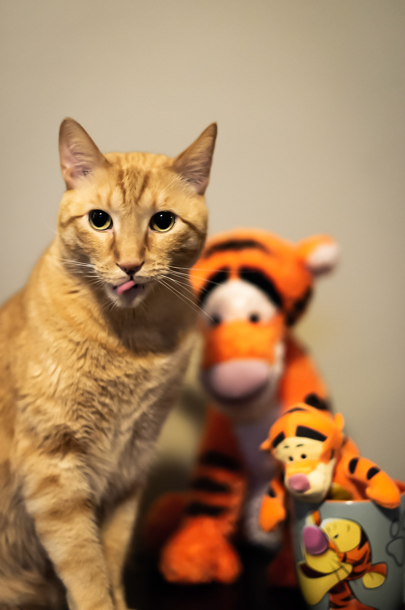 A collection of Tigger's to make a great portrait