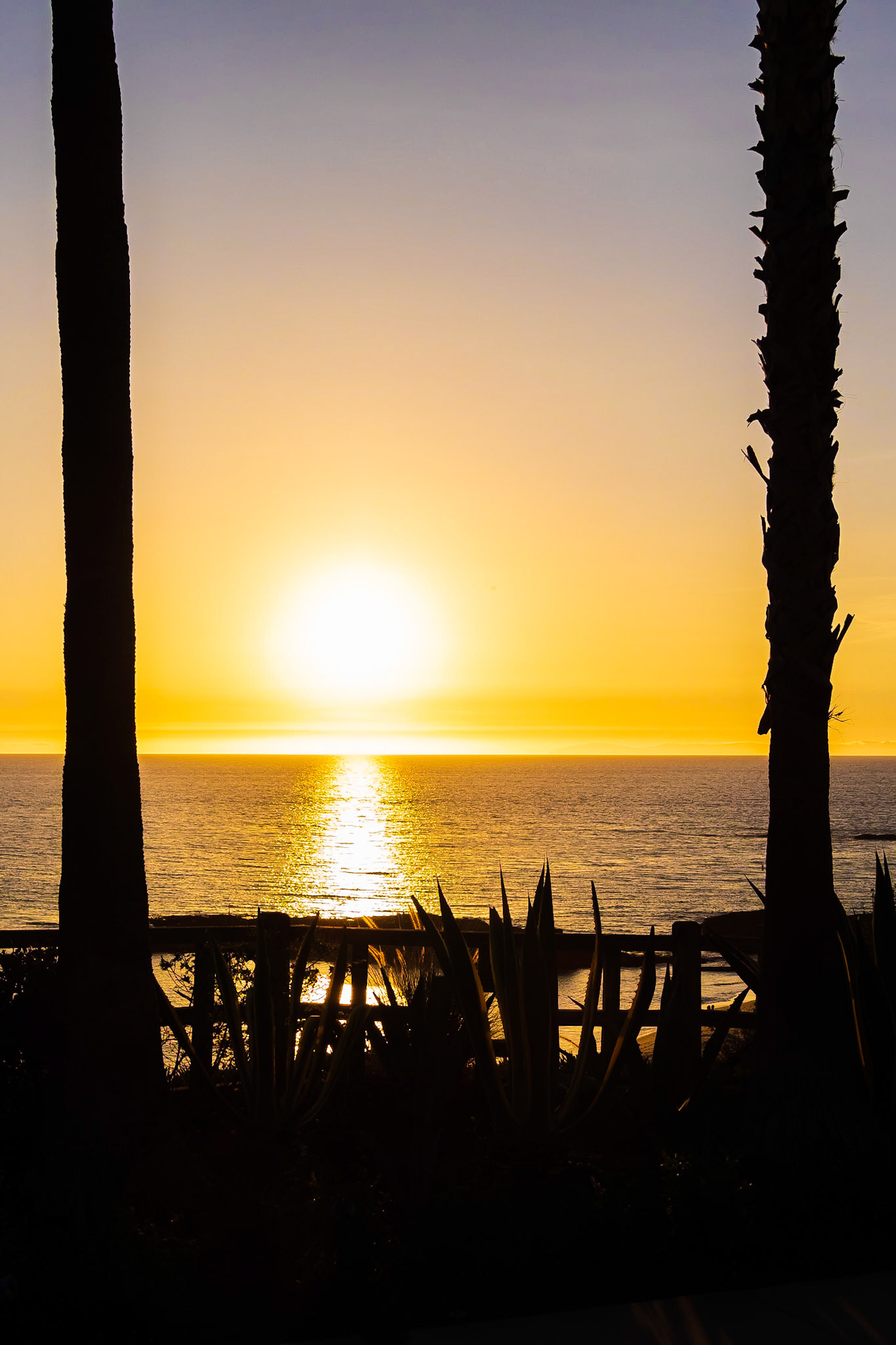 Montage Hotel - 2014