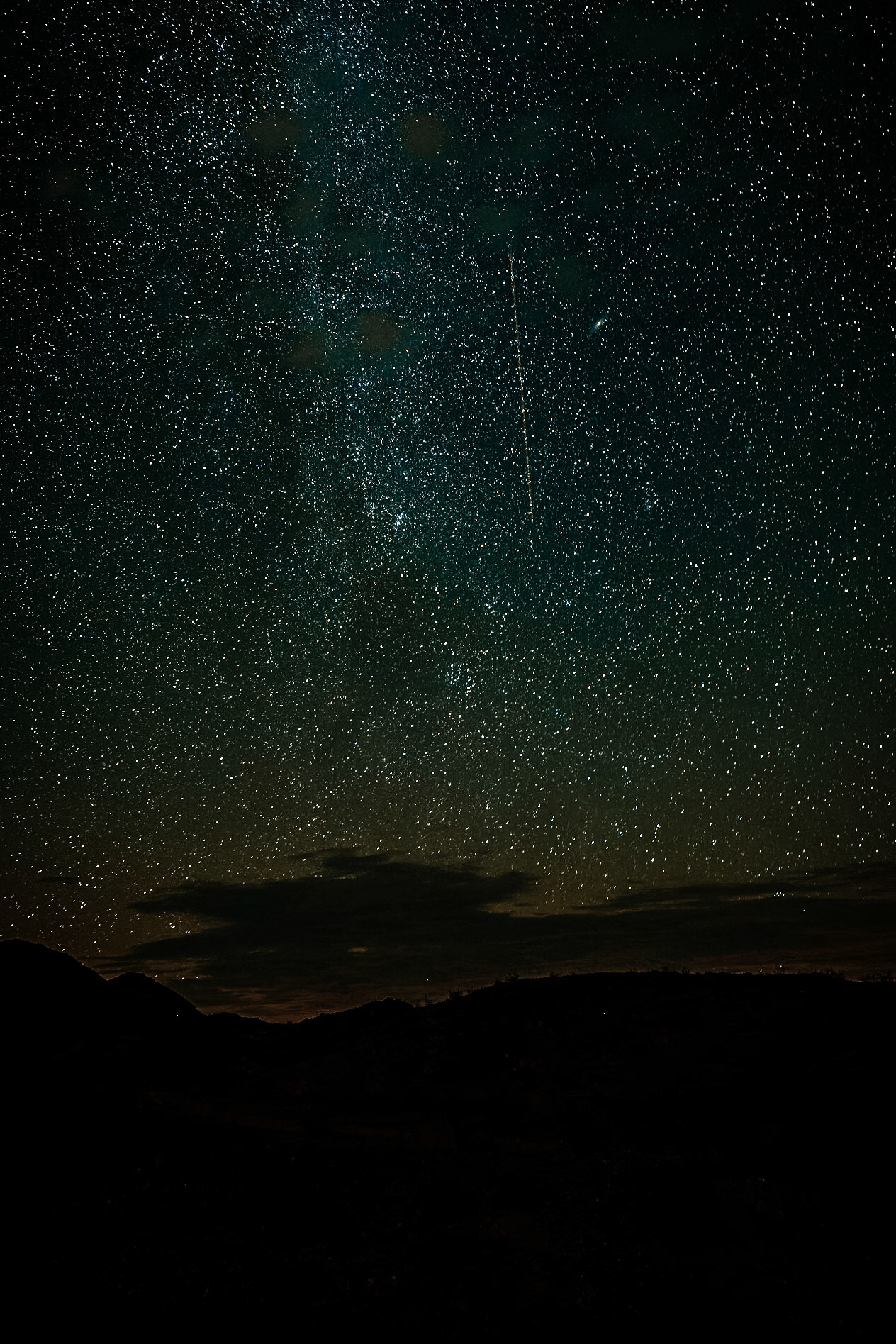 Joshua Tree - August 2023