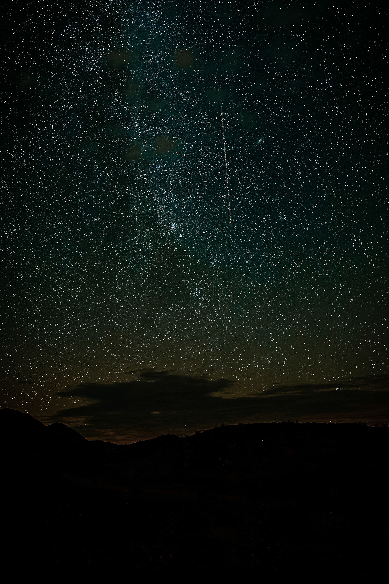 Joshua Tree - August 2023