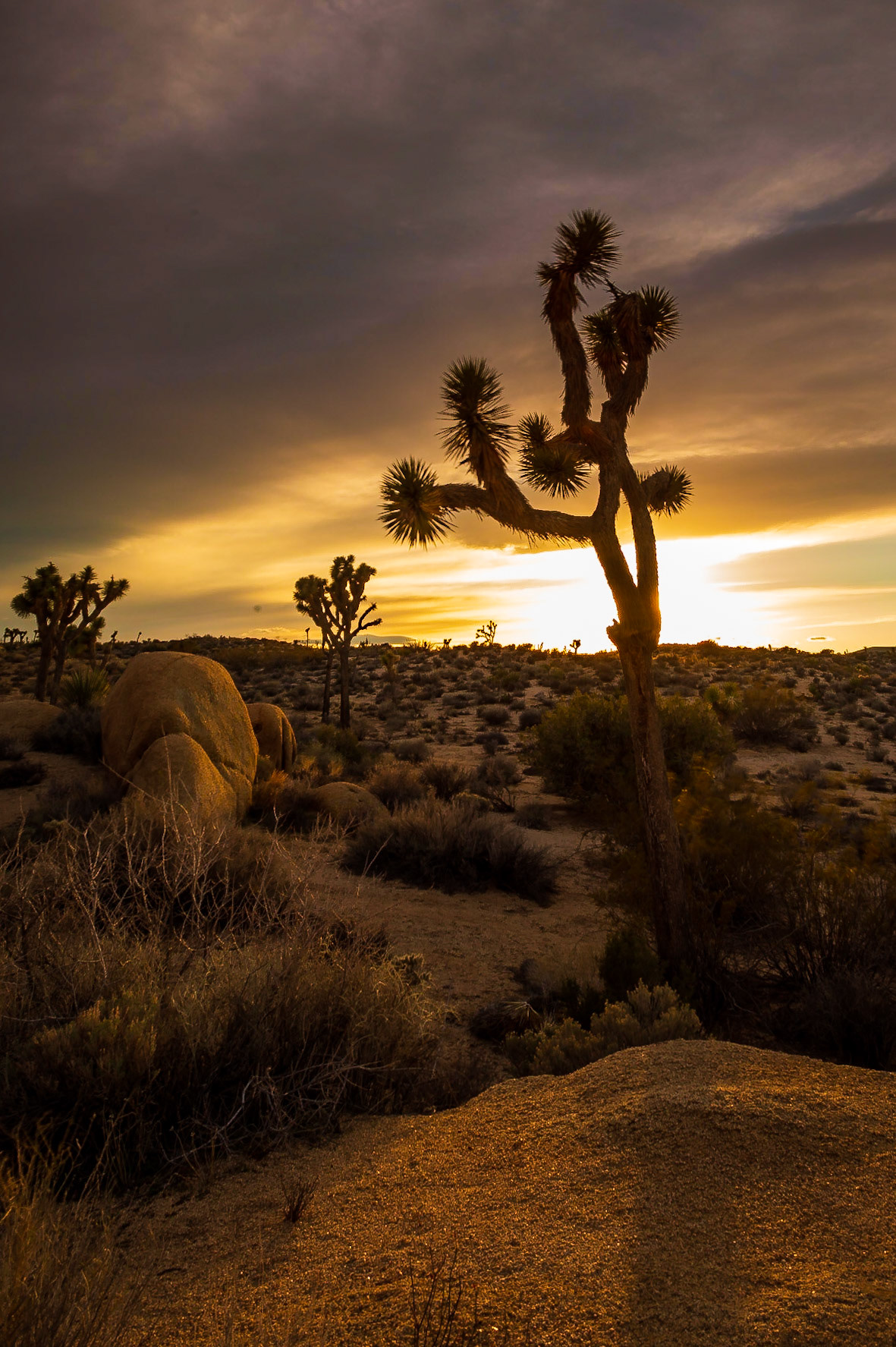 The sun sets as the dark clouds roll in over the desert