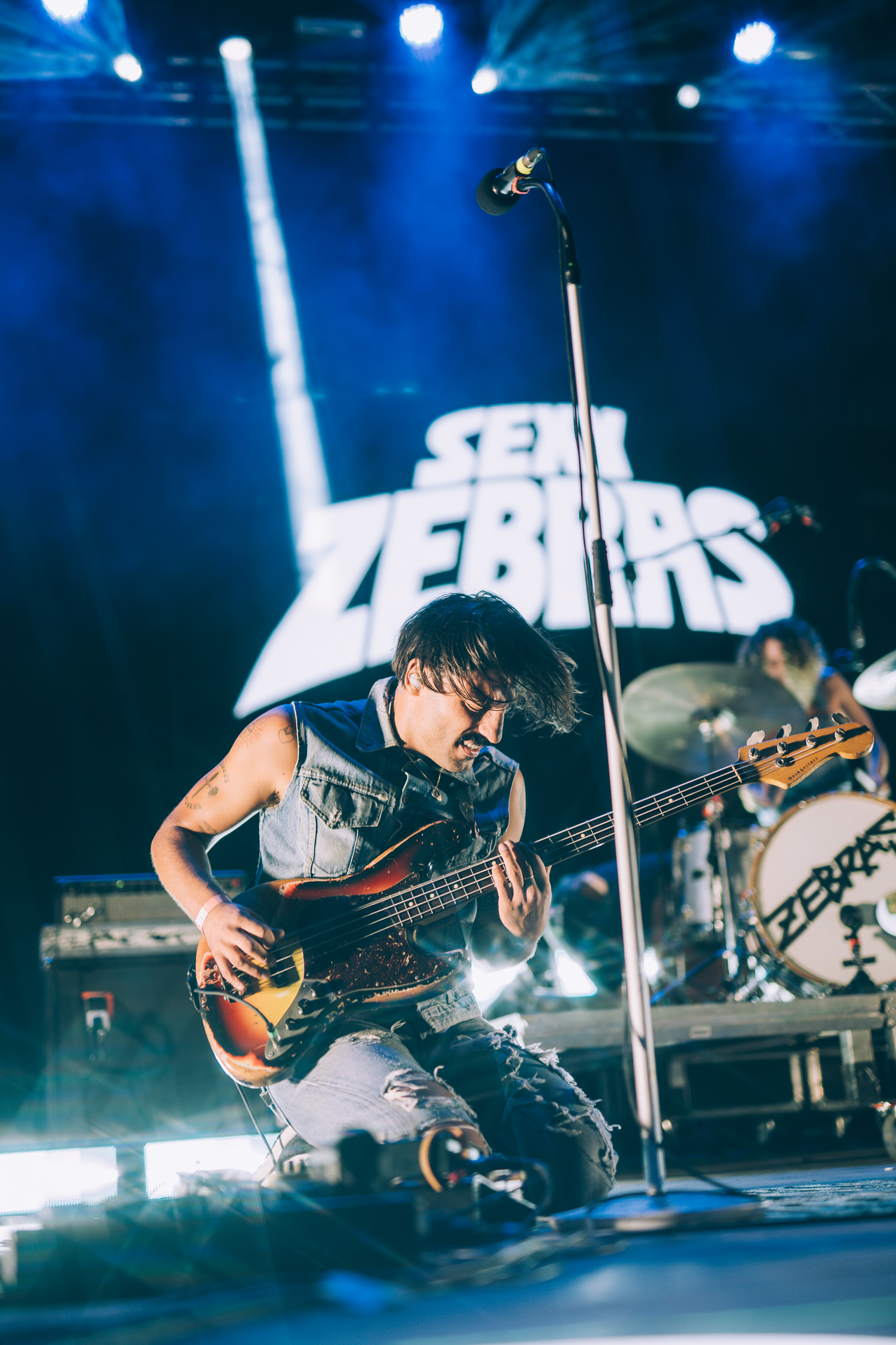 Sexy Zebras