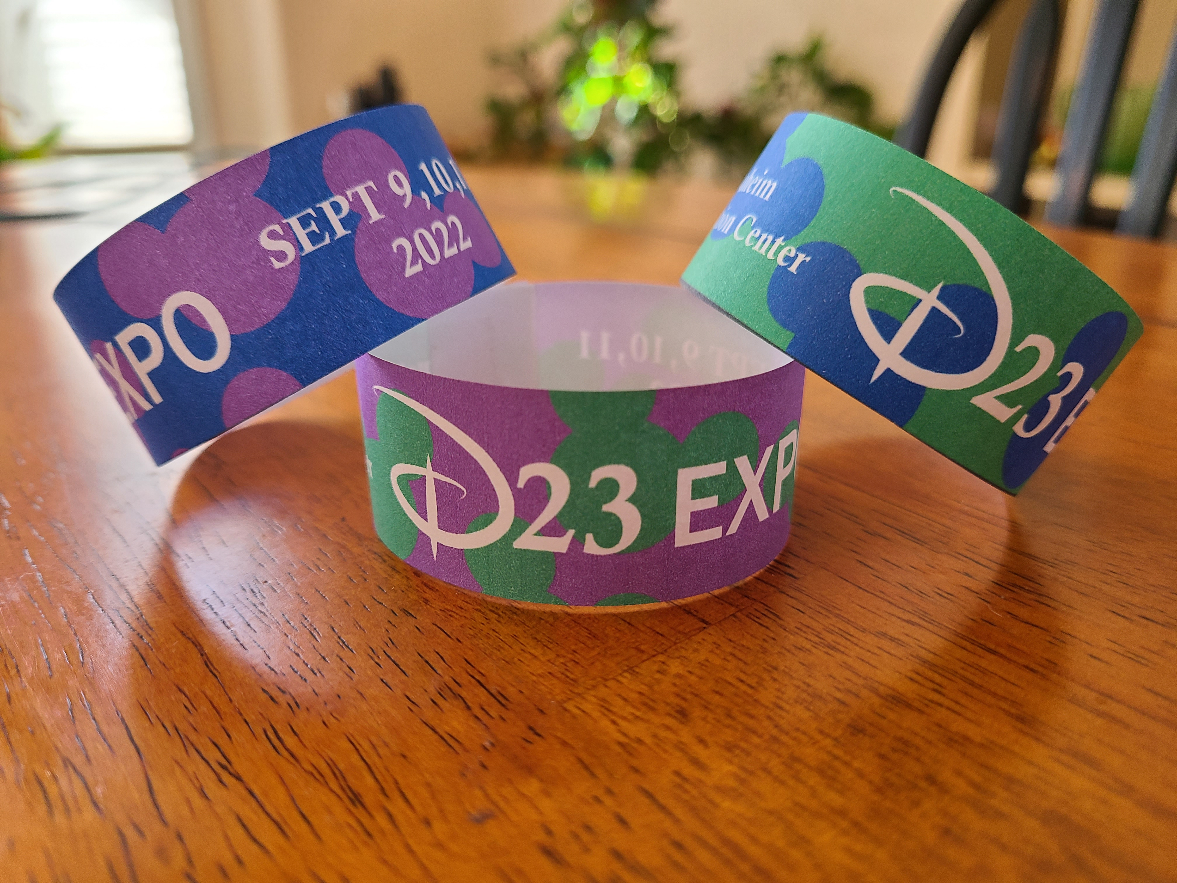 Event wristbands