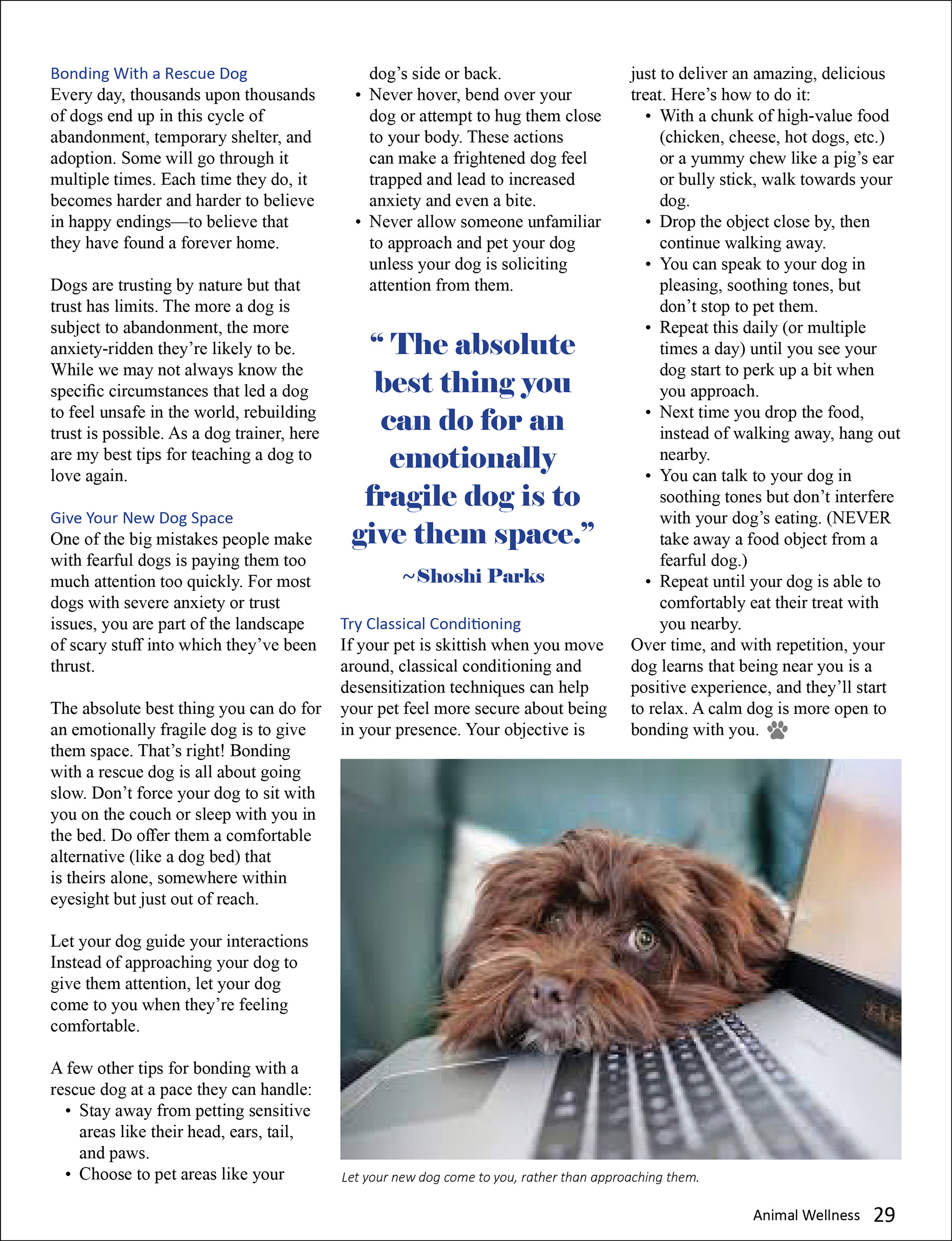 Magazine mock-up page 2