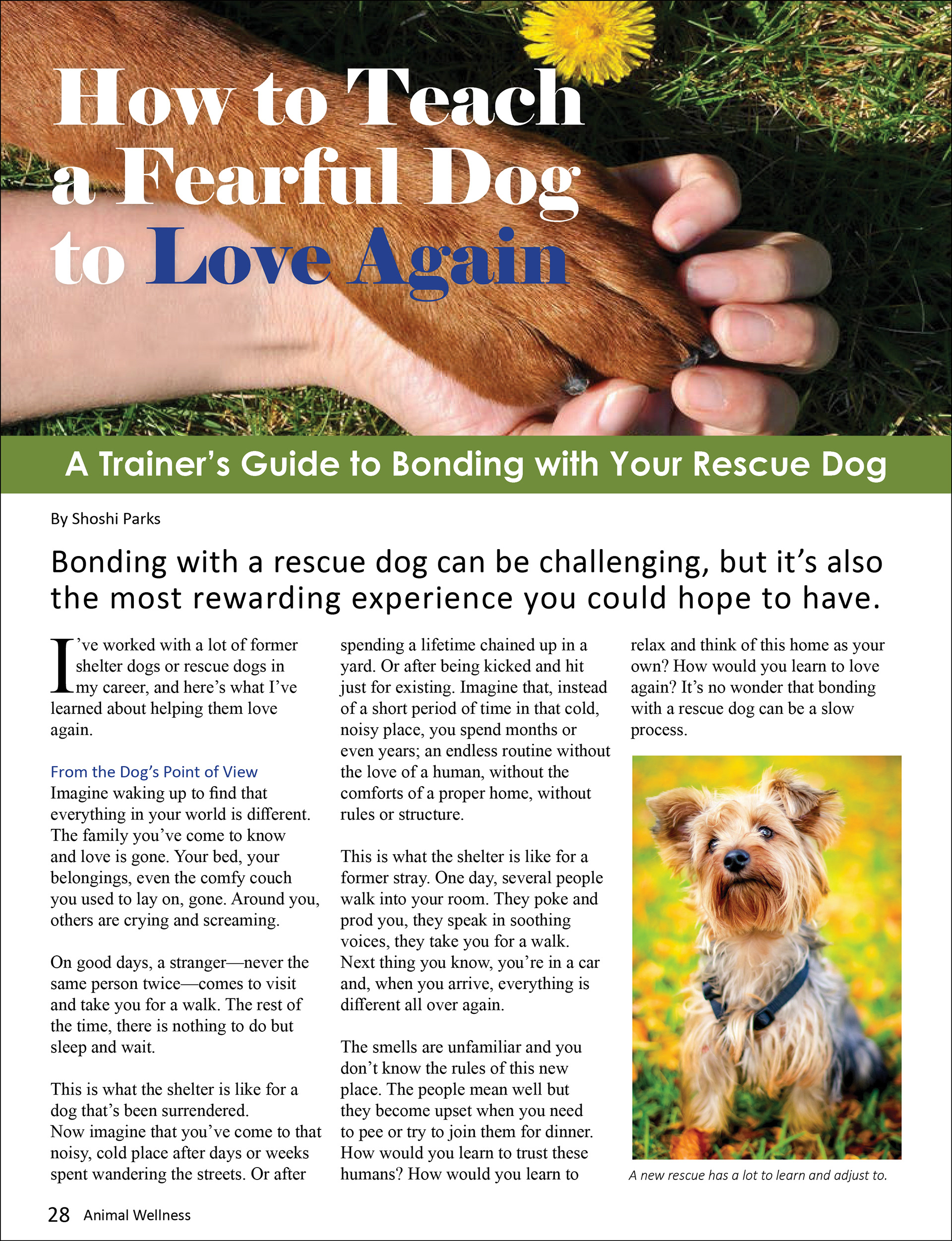 Magazine mock-up page 1